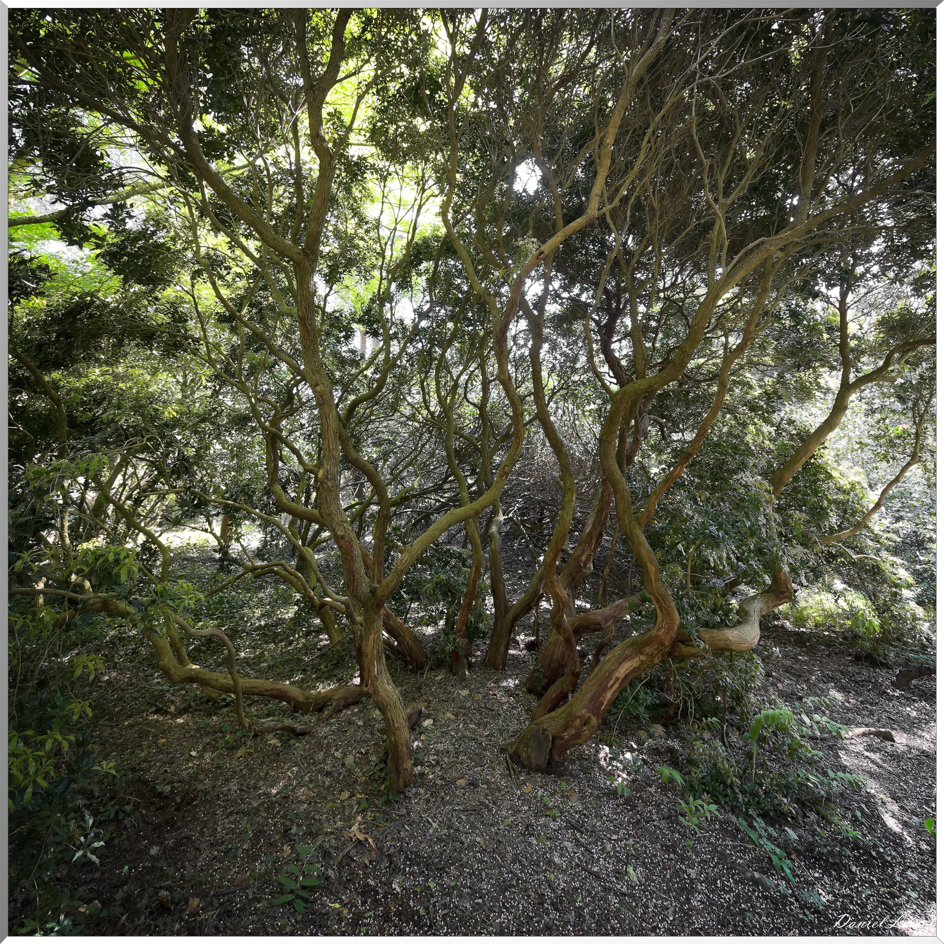 Parc du Bois des Moutiers