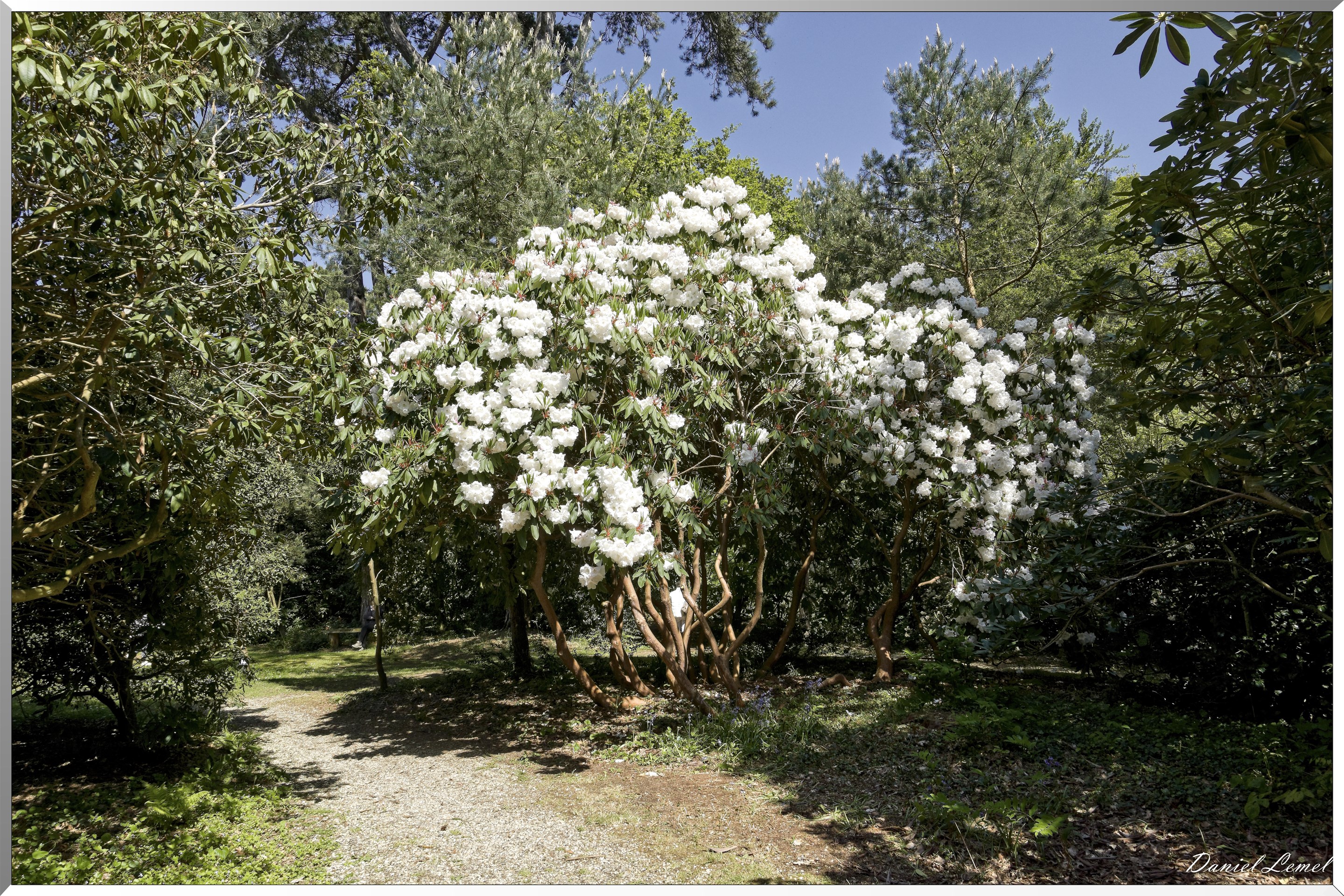 Parc du Bois des Moutiers