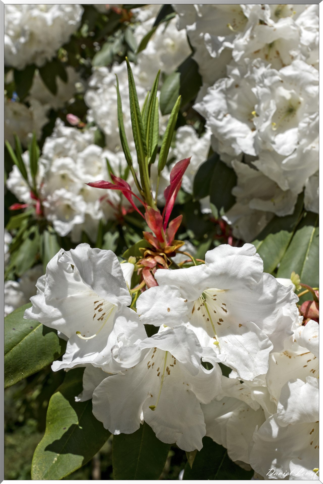 Parc du Bois des Moutiers