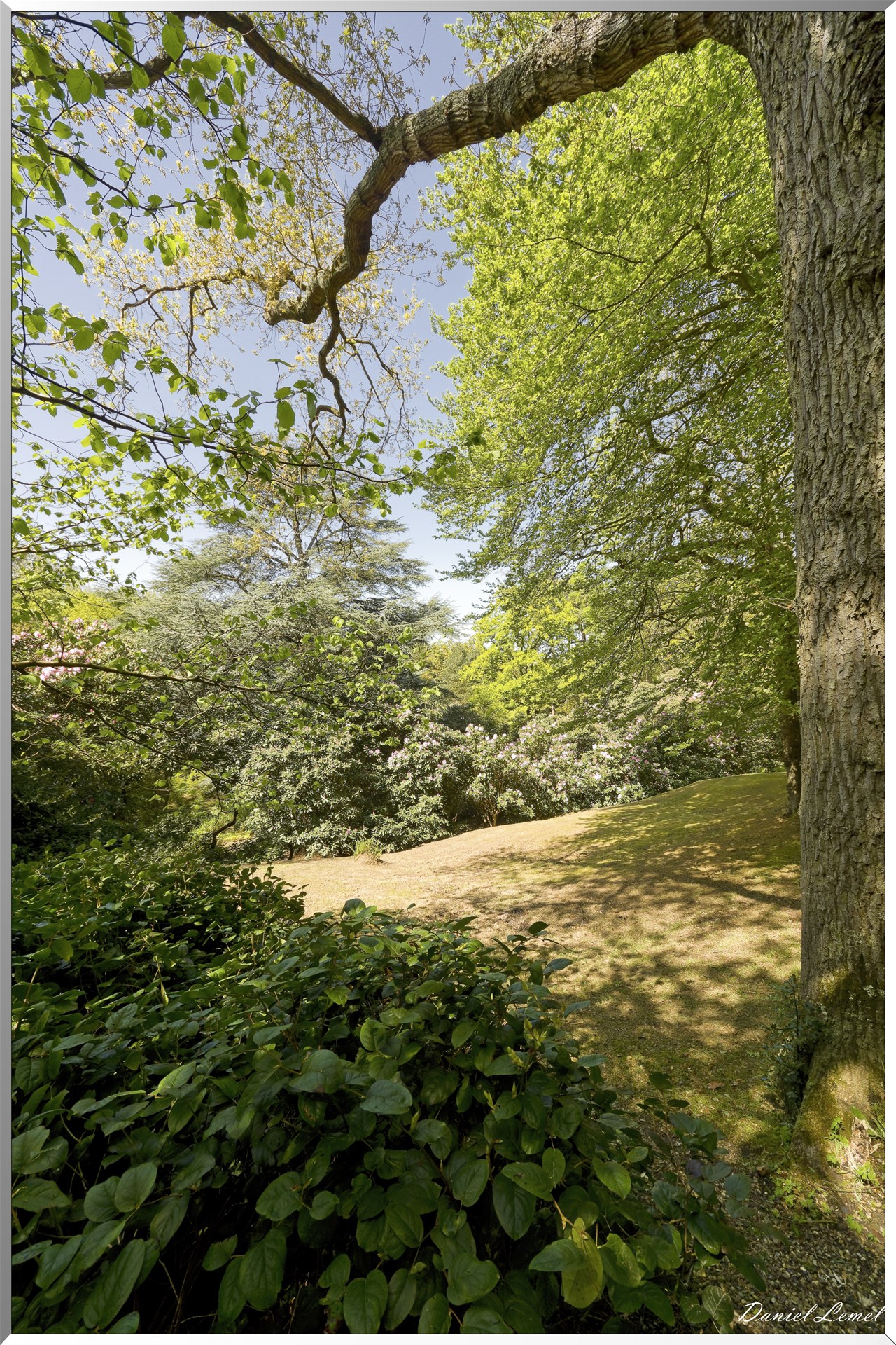 Parc du Bois des Moutiers
