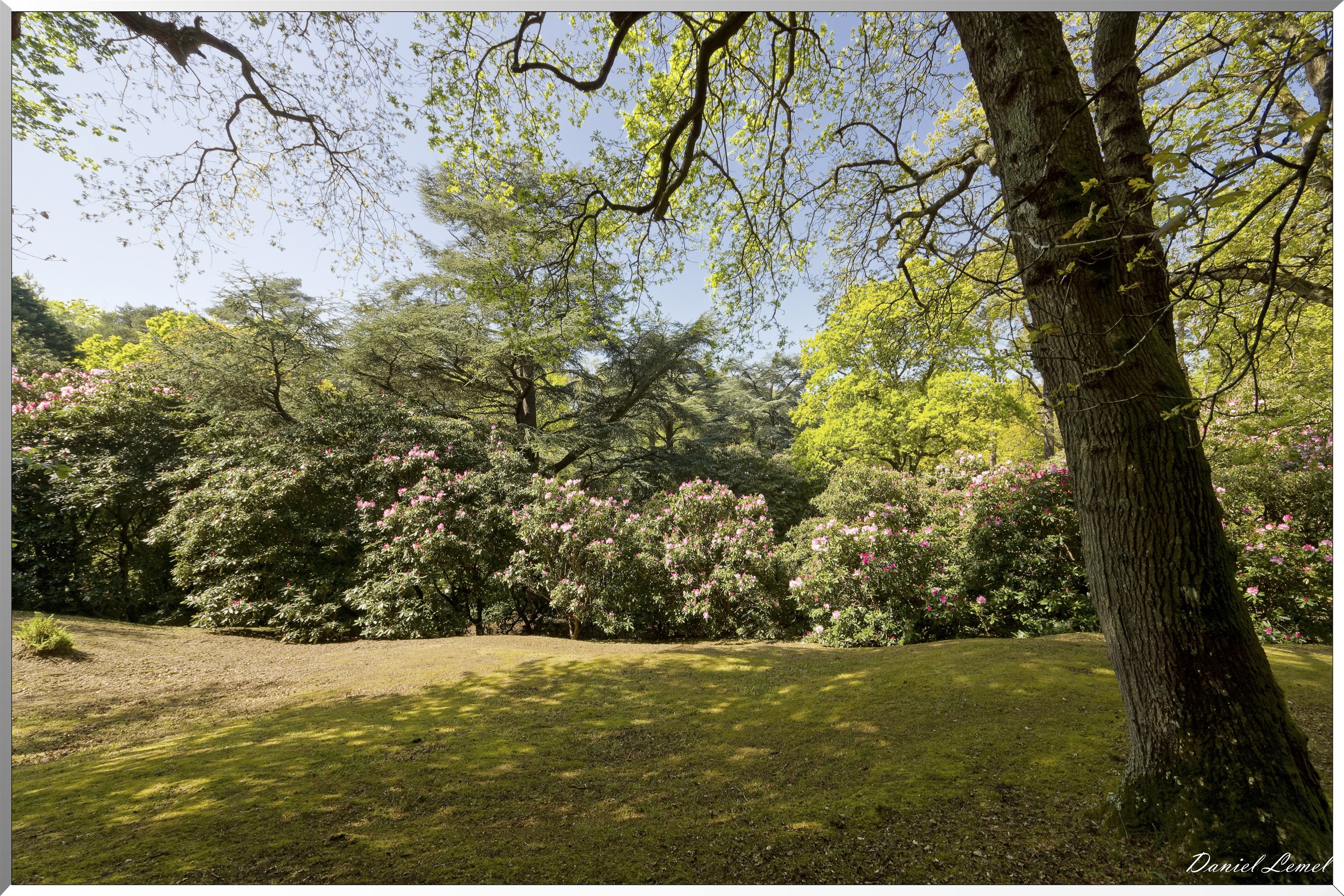 Parc du Bois des Moutiers