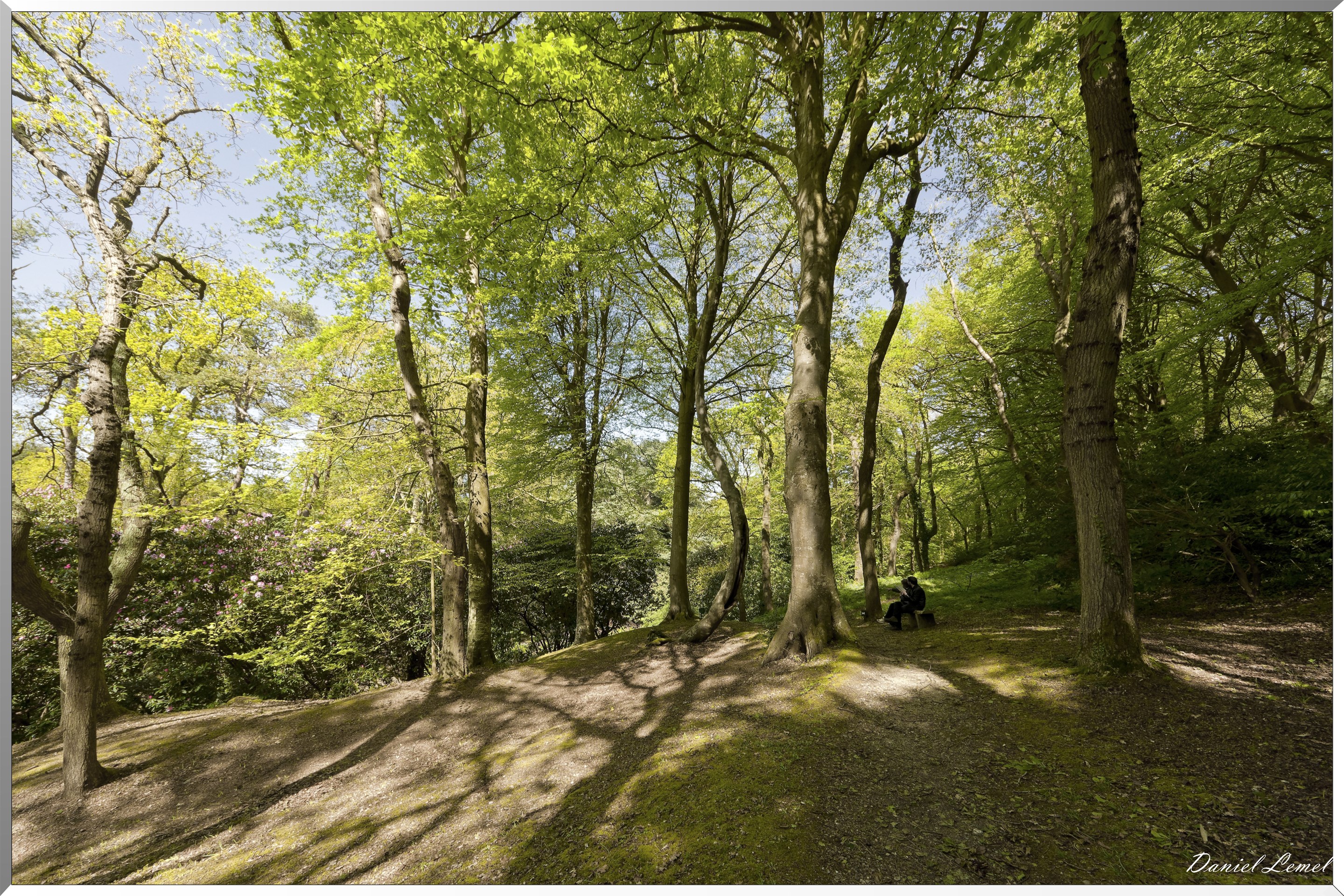 Parc du Bois des Moutiers