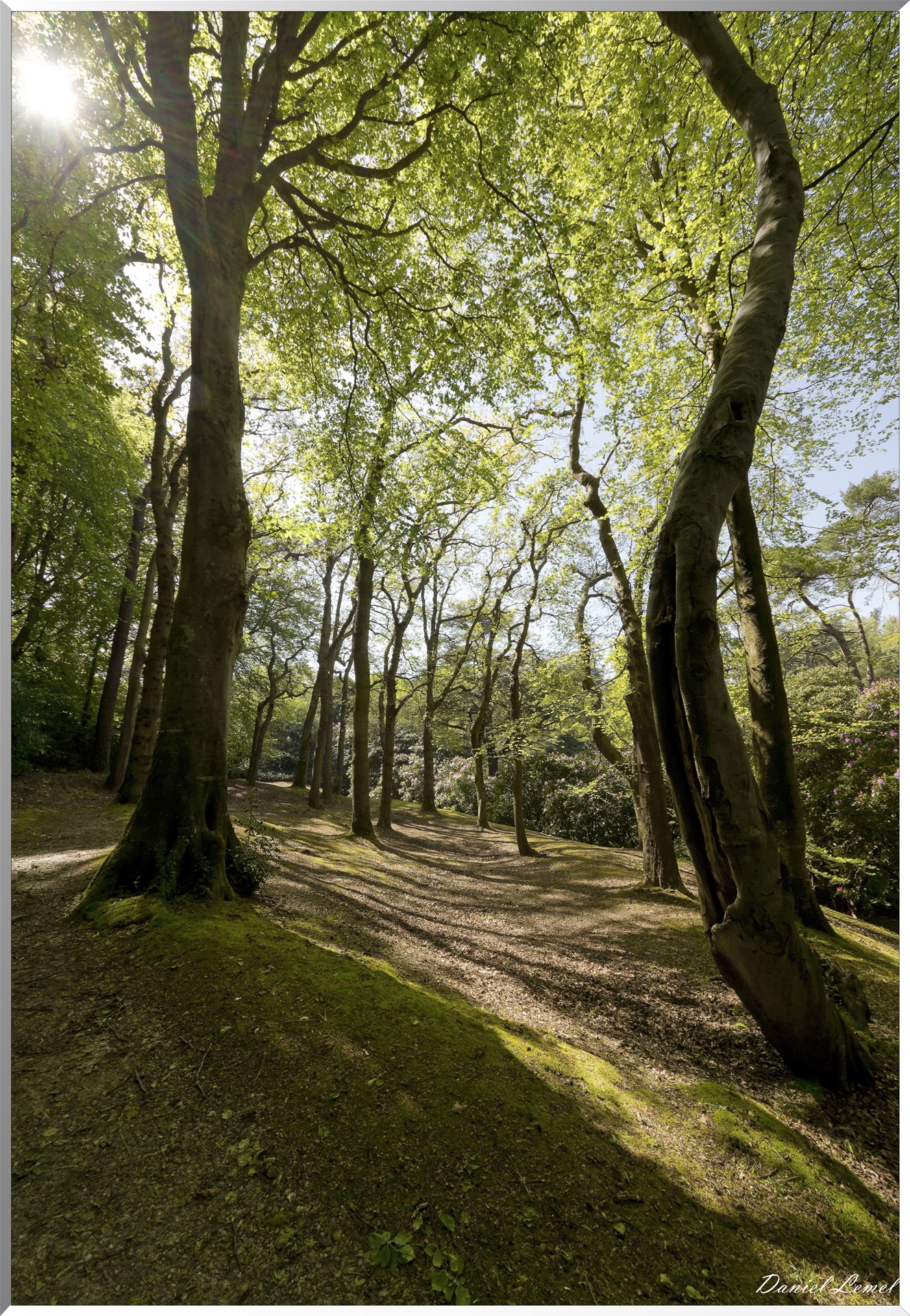 Parc du Bois des Moutiers