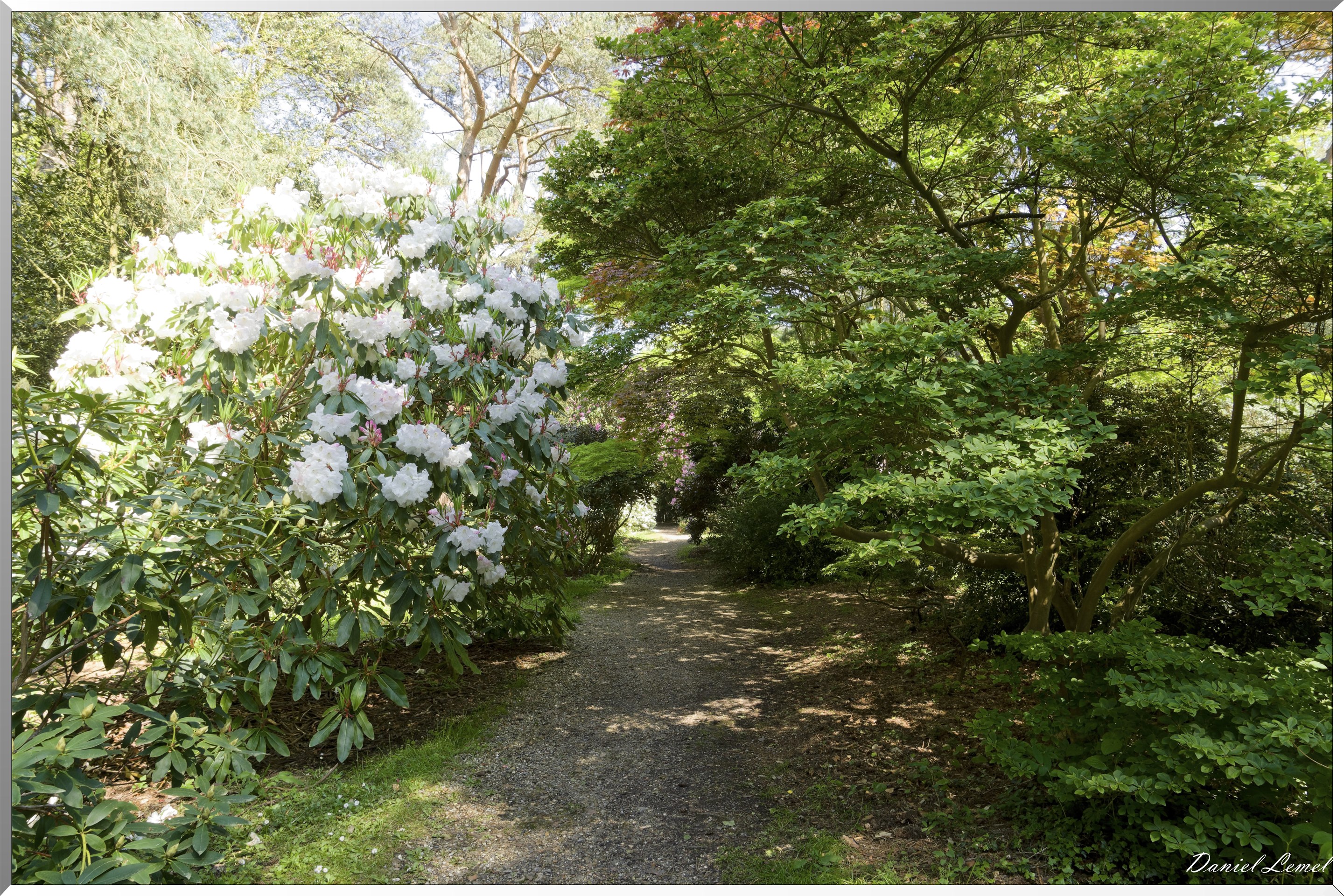 Parc du Bois des Moutiers