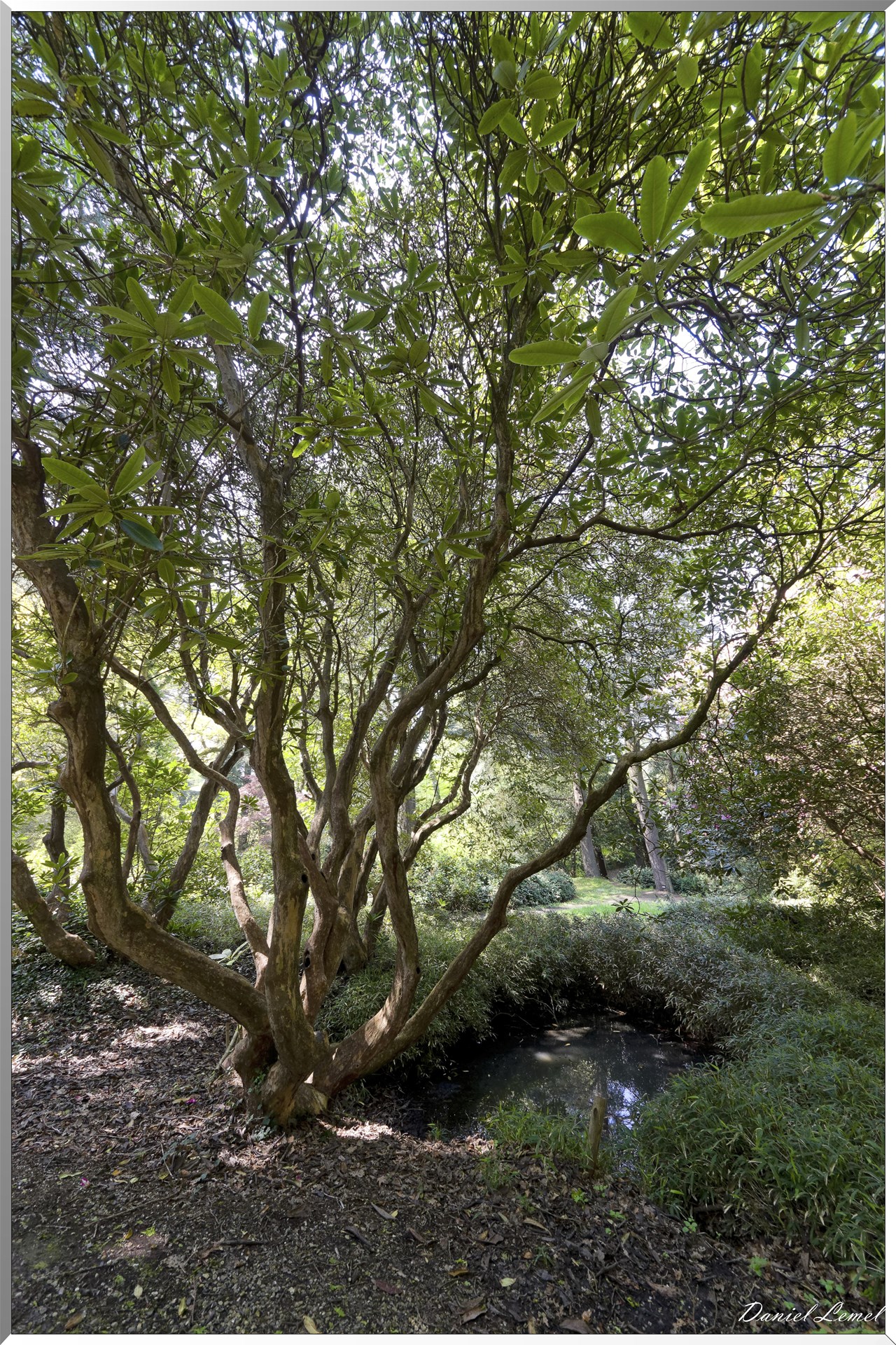 Parc du Bois des Moutiers