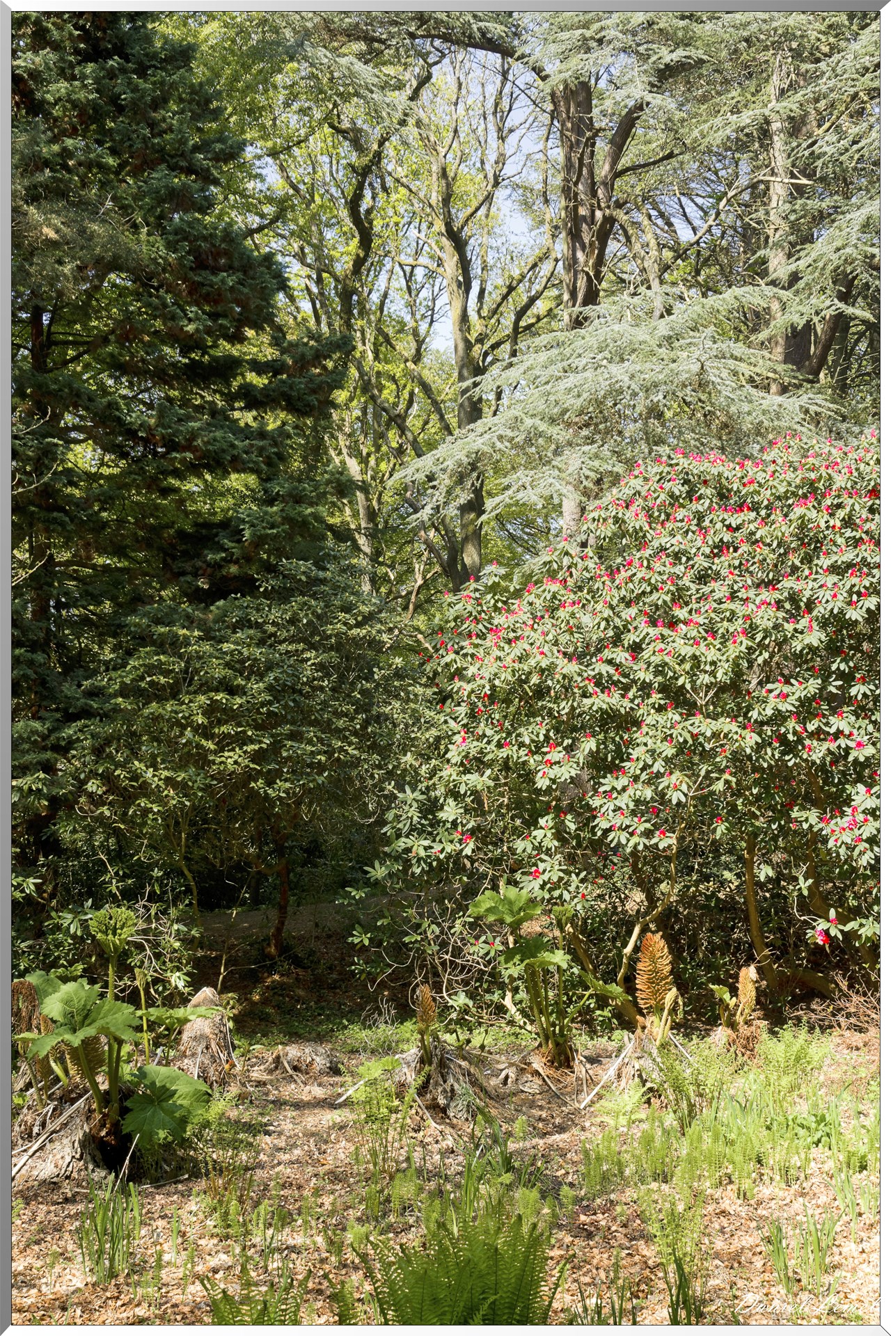 Parc du Bois des Moutiers
