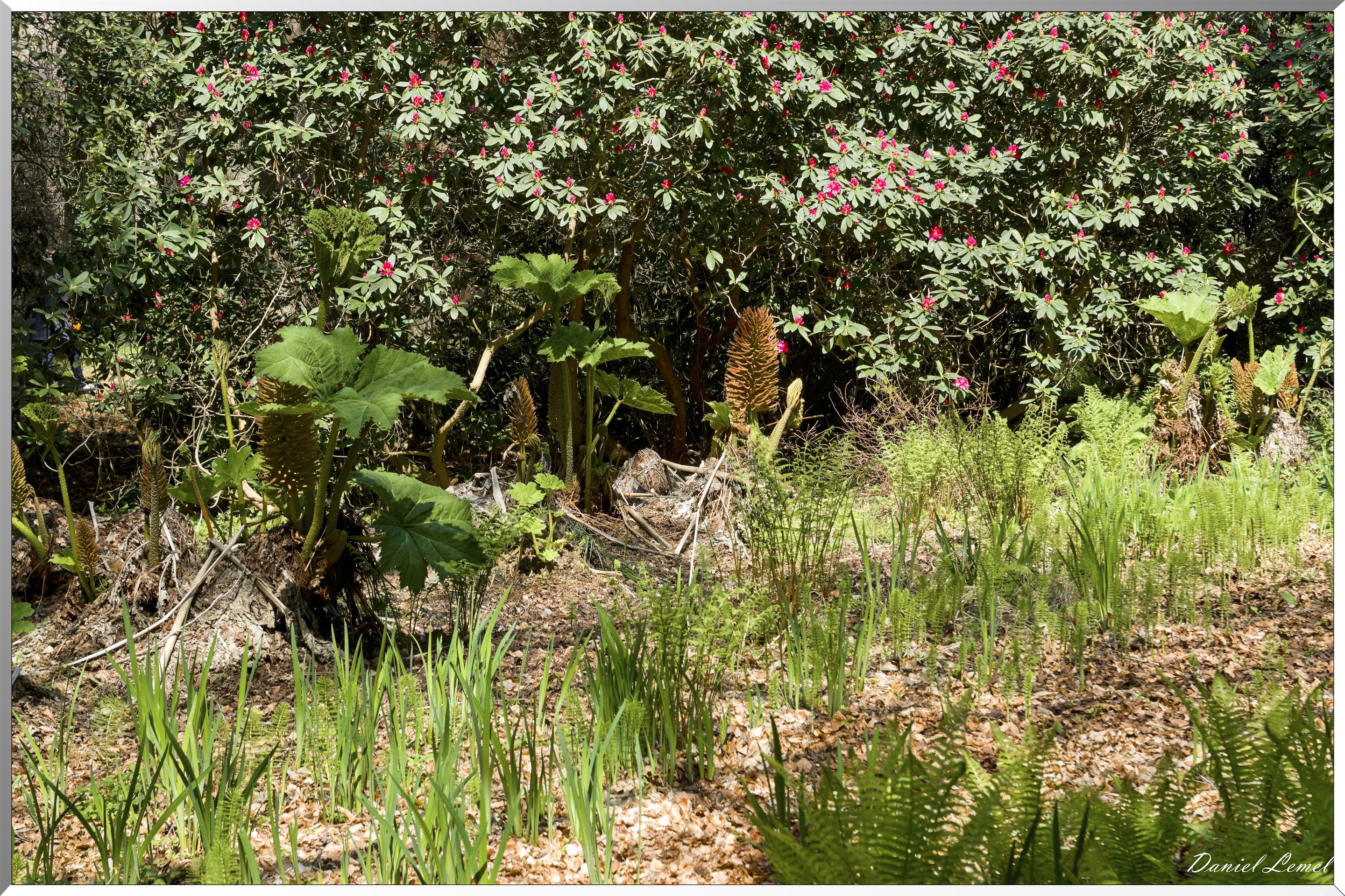 Parc du Bois des Moutiers
