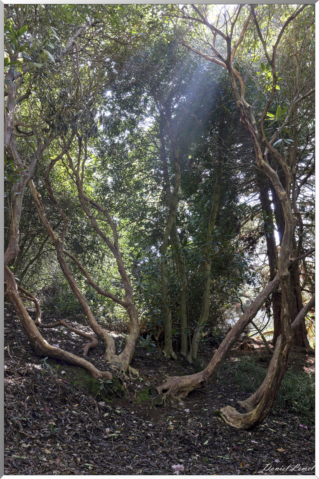 Parc du Bois des Moutiers