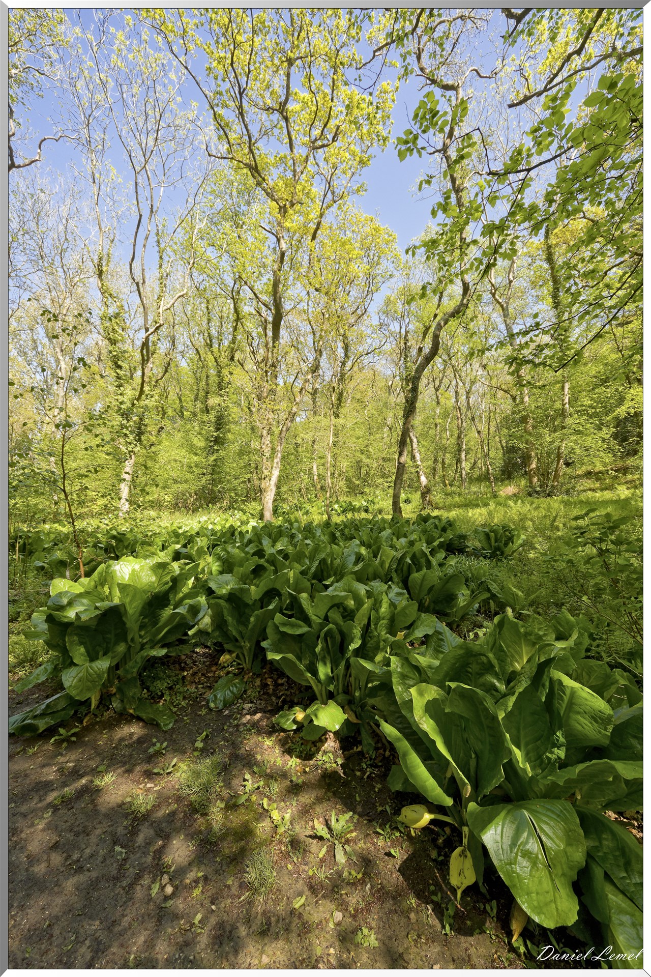 Parc du Bois des Moutiers