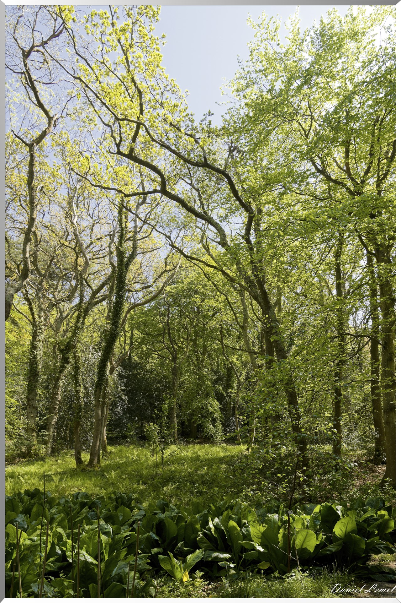 Parc du Bois des Moutiers