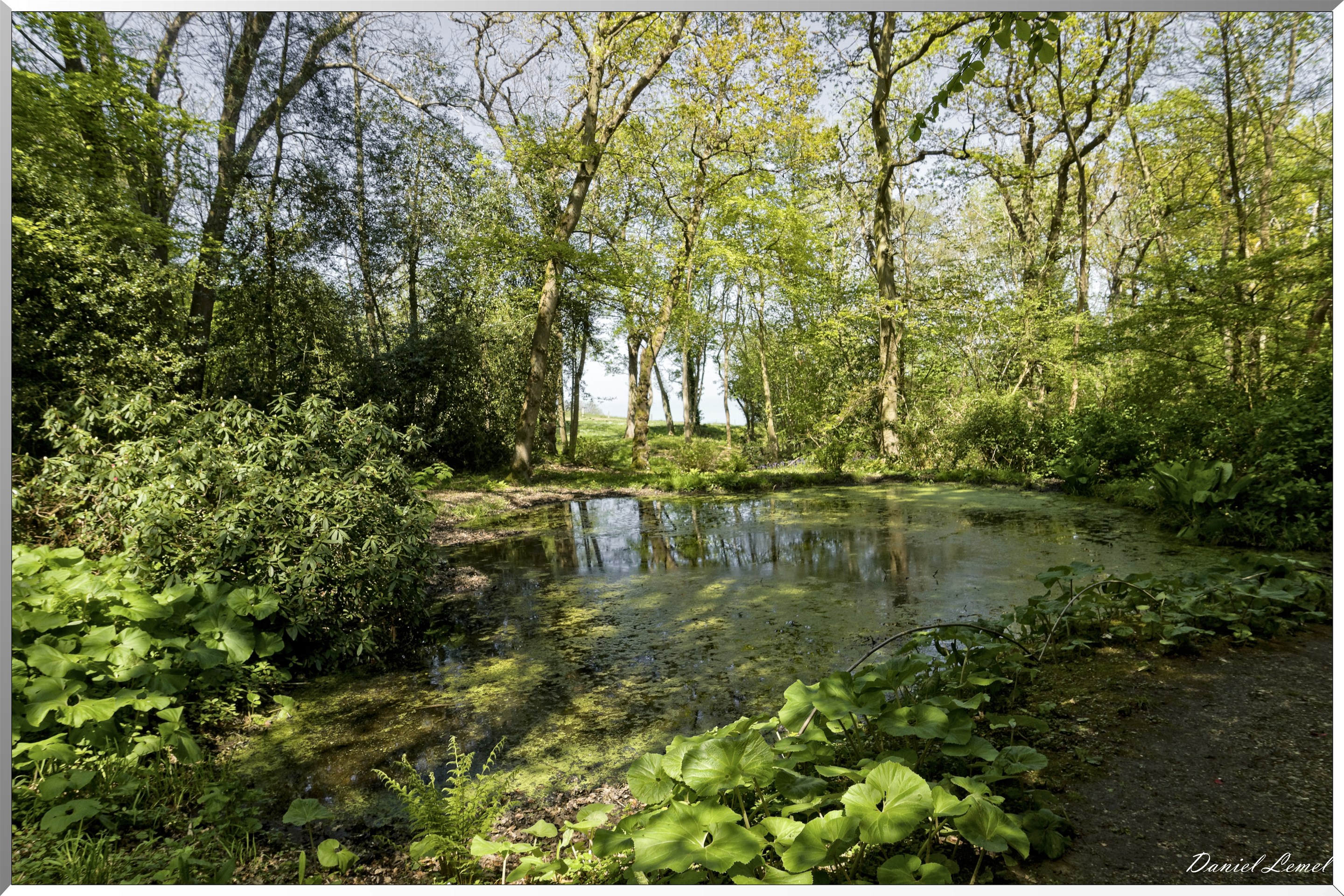 Parc du Bois des Moutiers