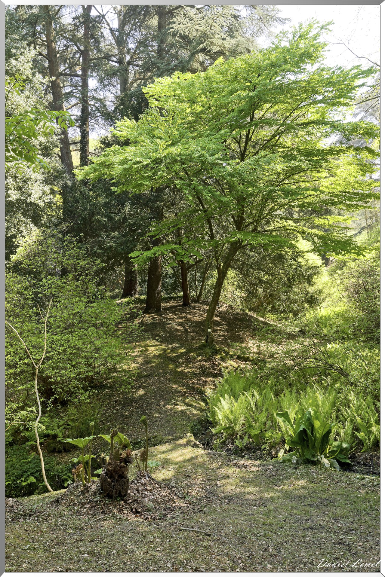 Parc du Bois des Moutiers