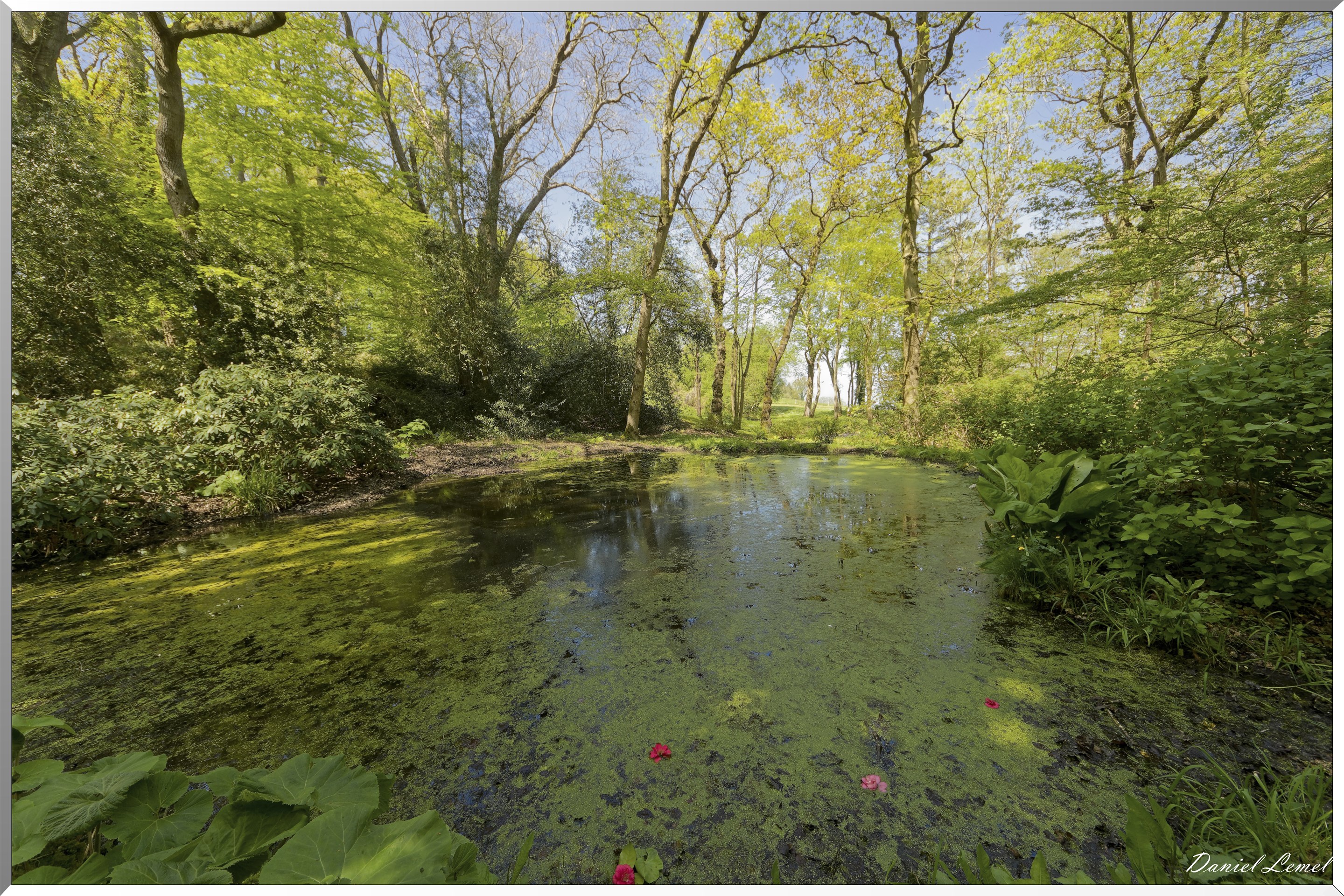 Parc du Bois des Moutiers