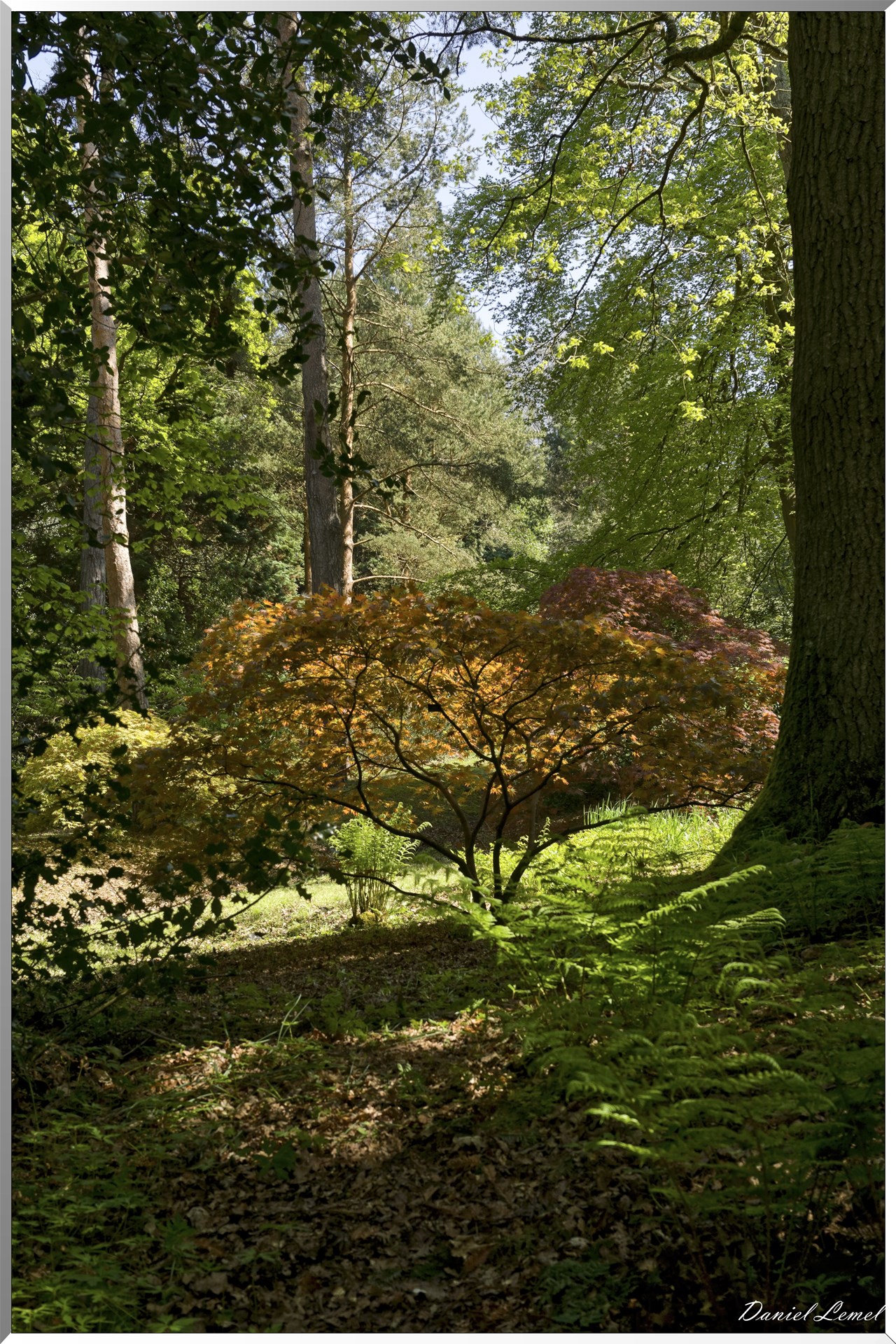 Parc du Bois des Moutiers