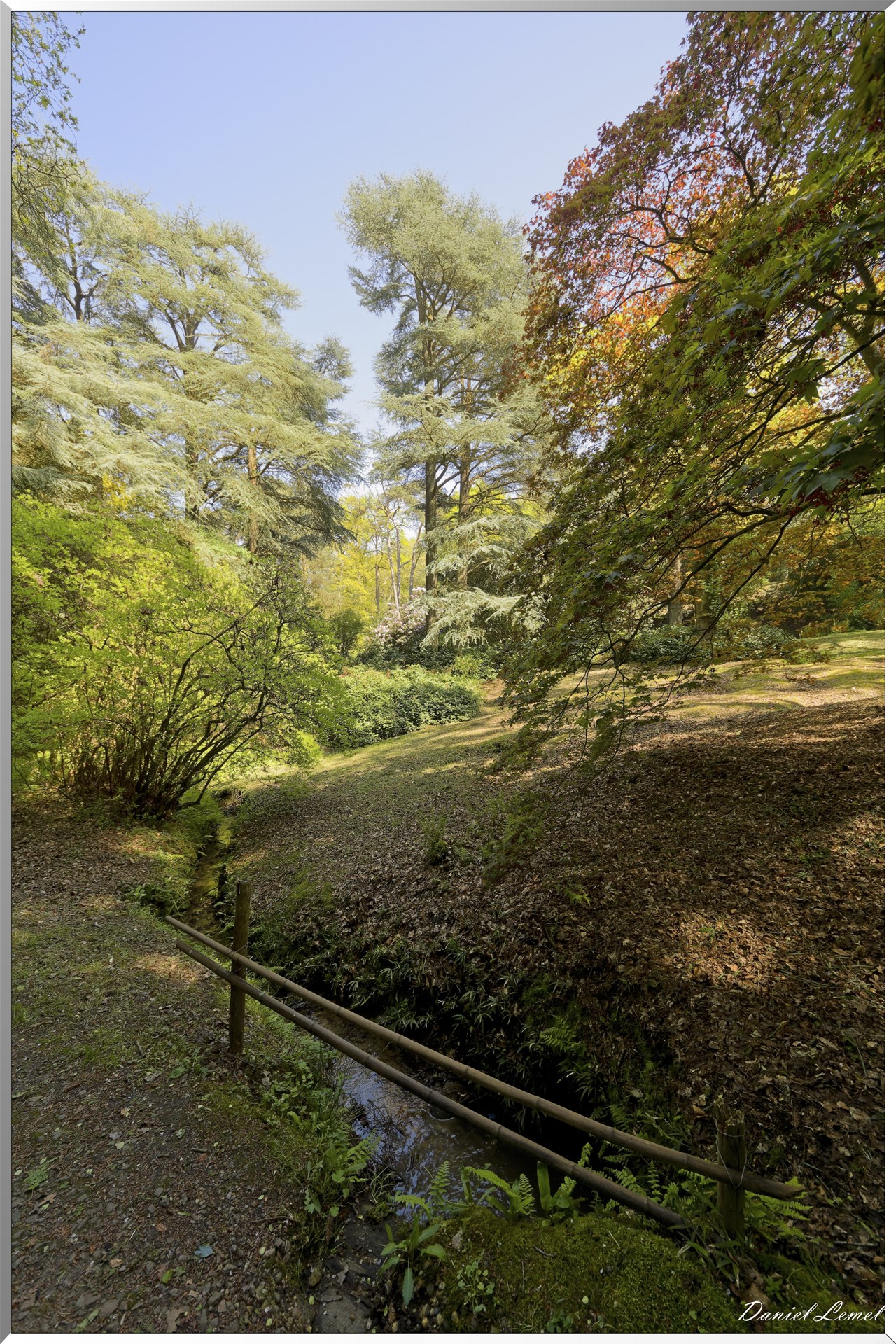 Parc du Bois des Moutiers