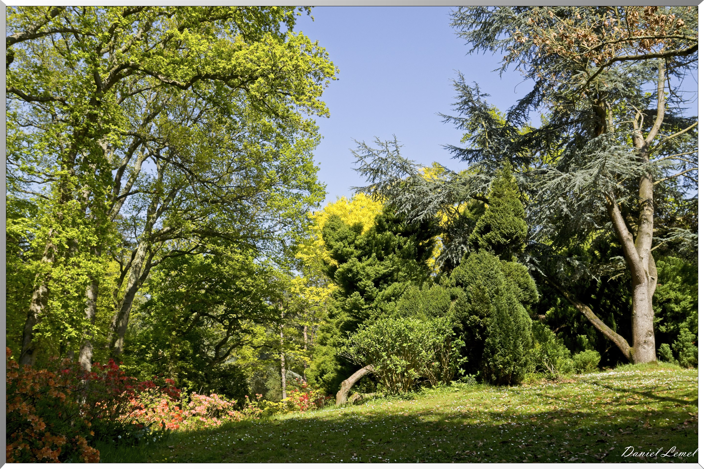 Parc du Bois des Moutiers