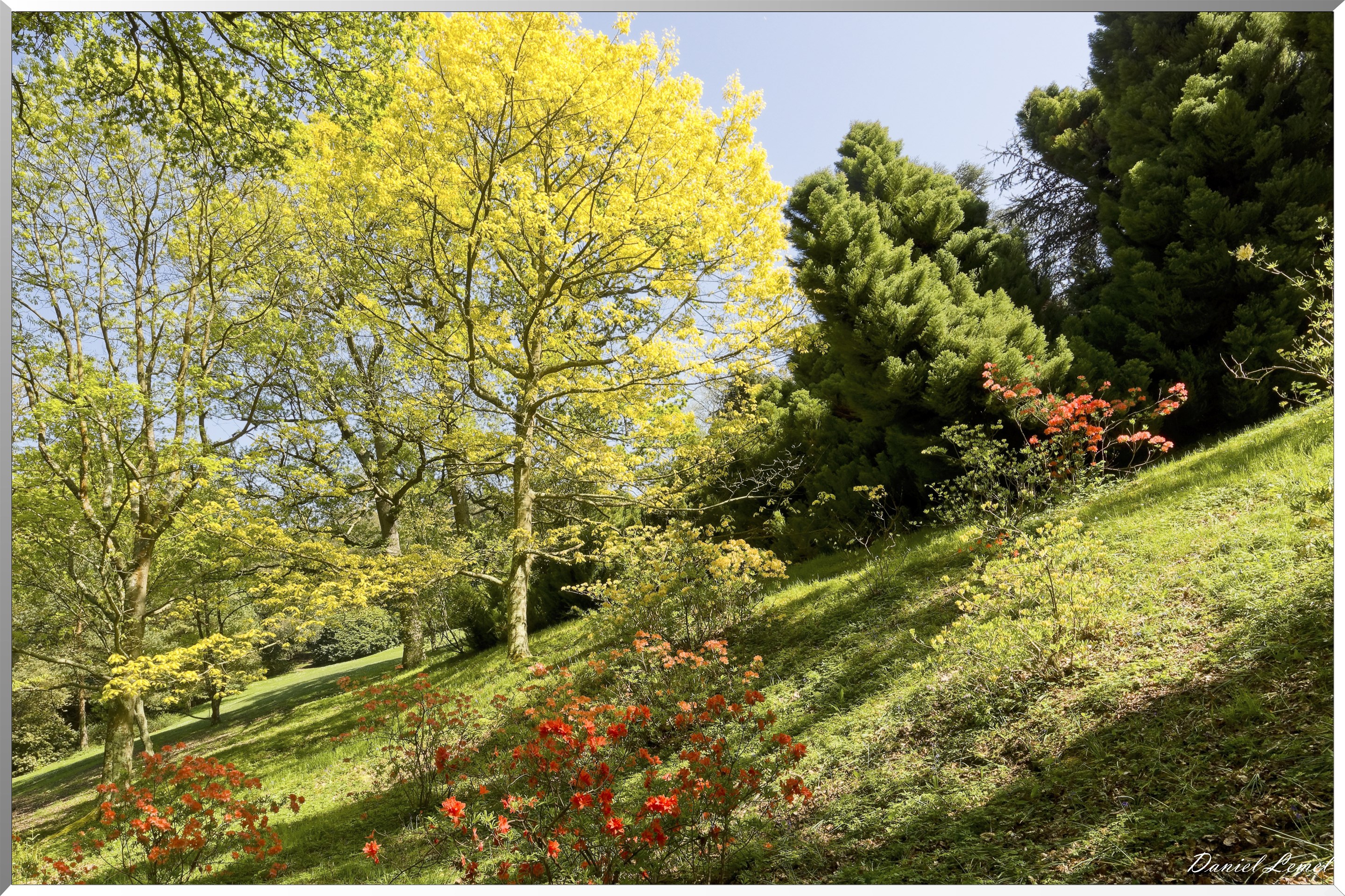 Parc du Bois des Moutiers