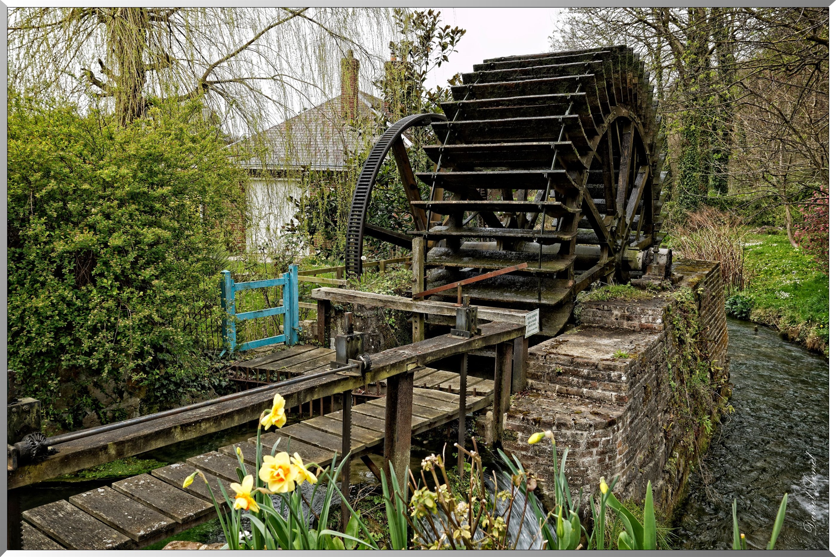 Roue du moulin