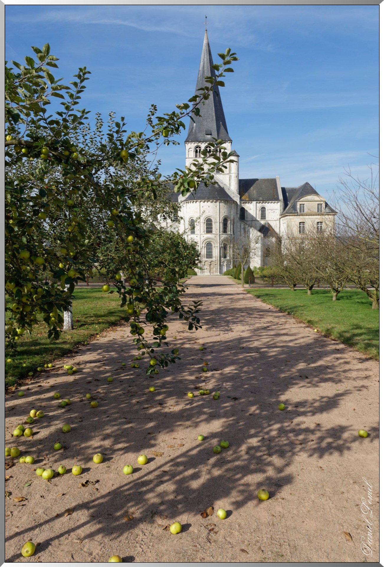 Abbaye romane Saint Georges de Boscherville - Les pommiers