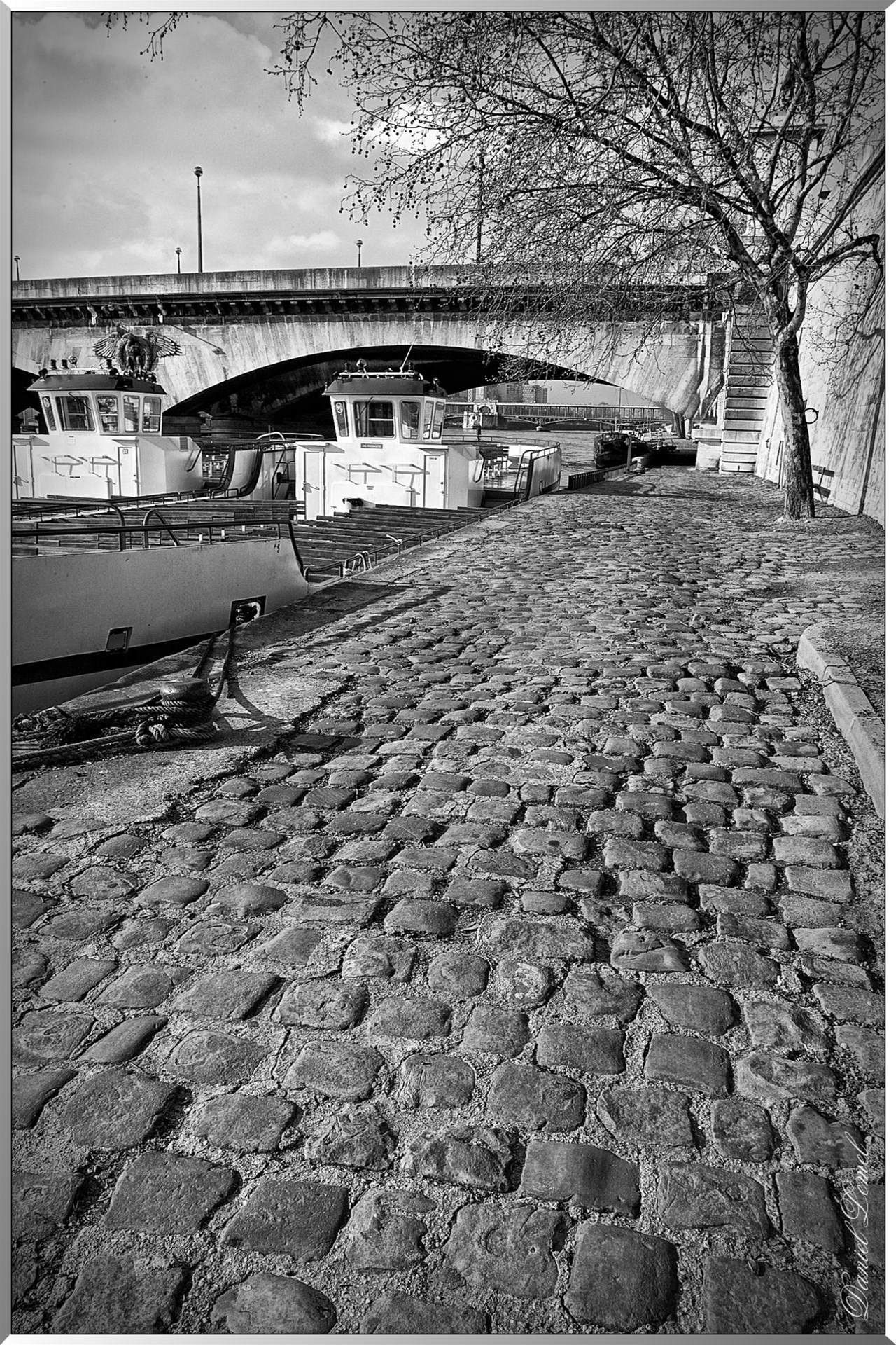 Pont d'  Iena - Les quais