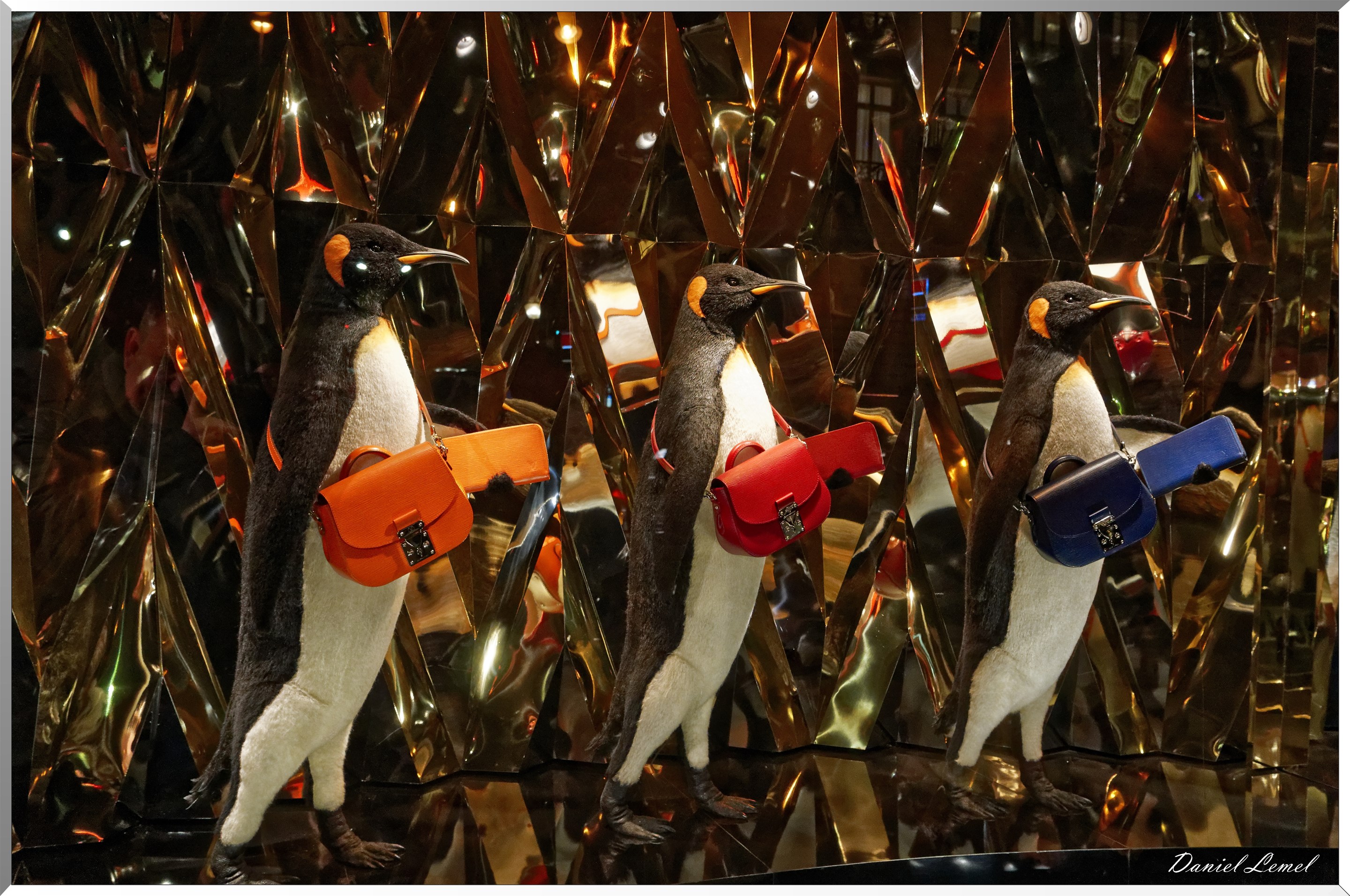 Vitrine Louis Vuitton