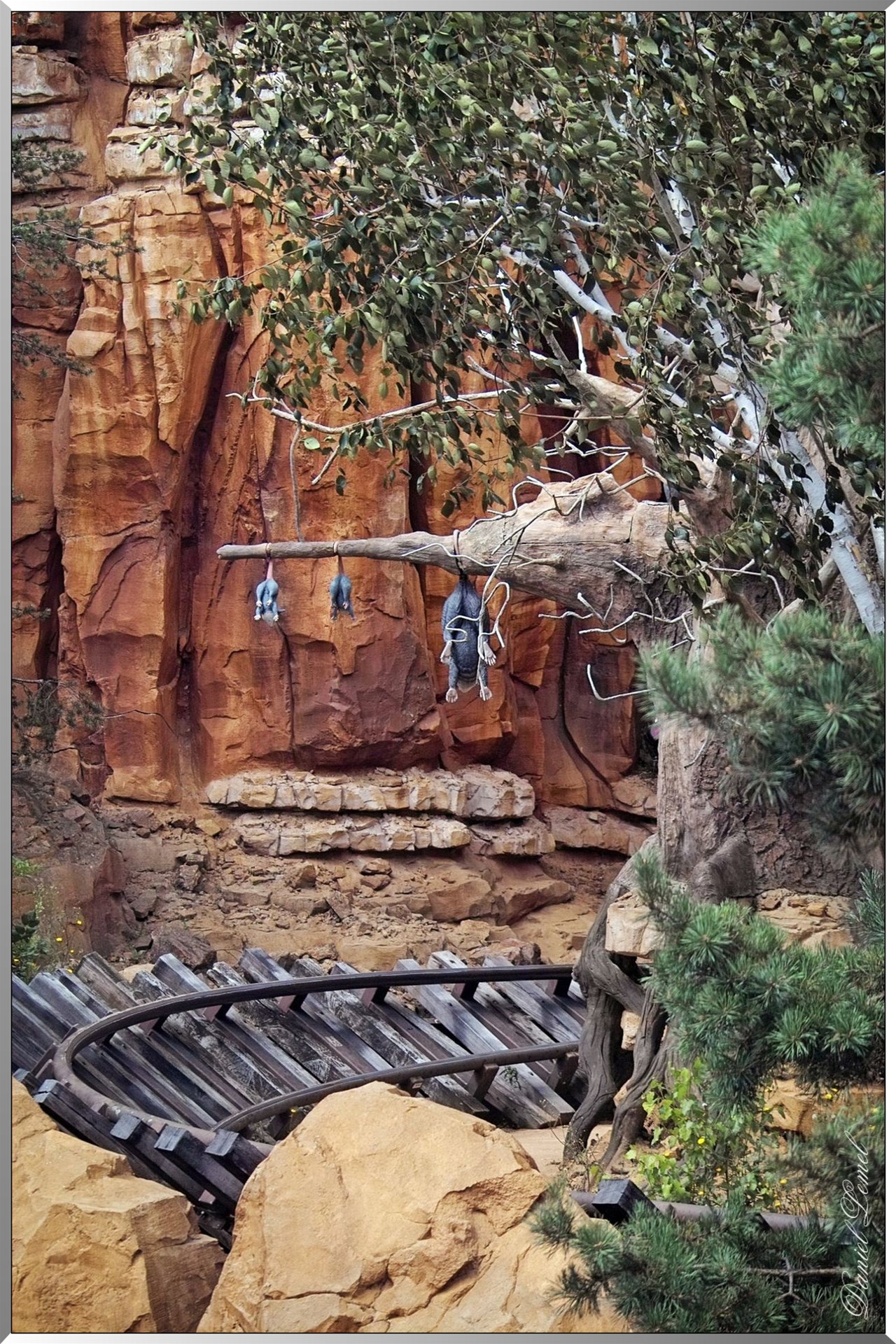 Frontierland - Rail du train de la mine