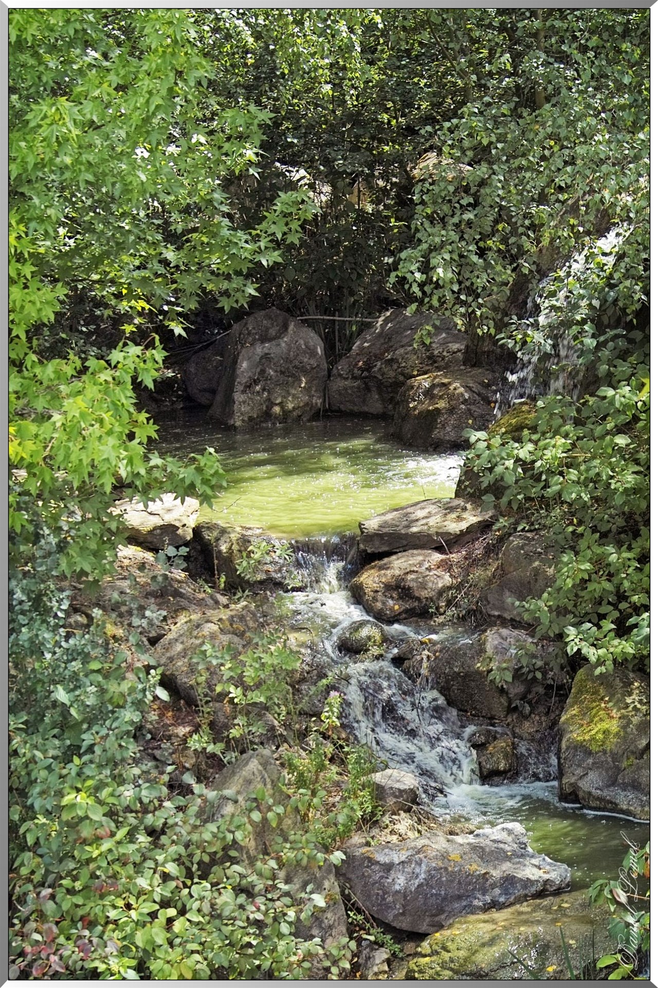 Frontierland - balade du Missisippi