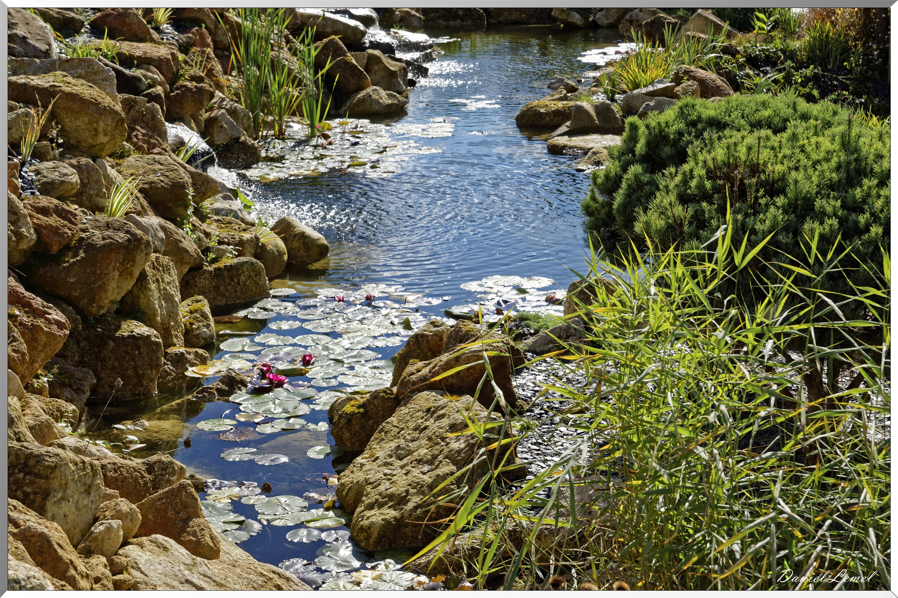 les jardins extraordinaires