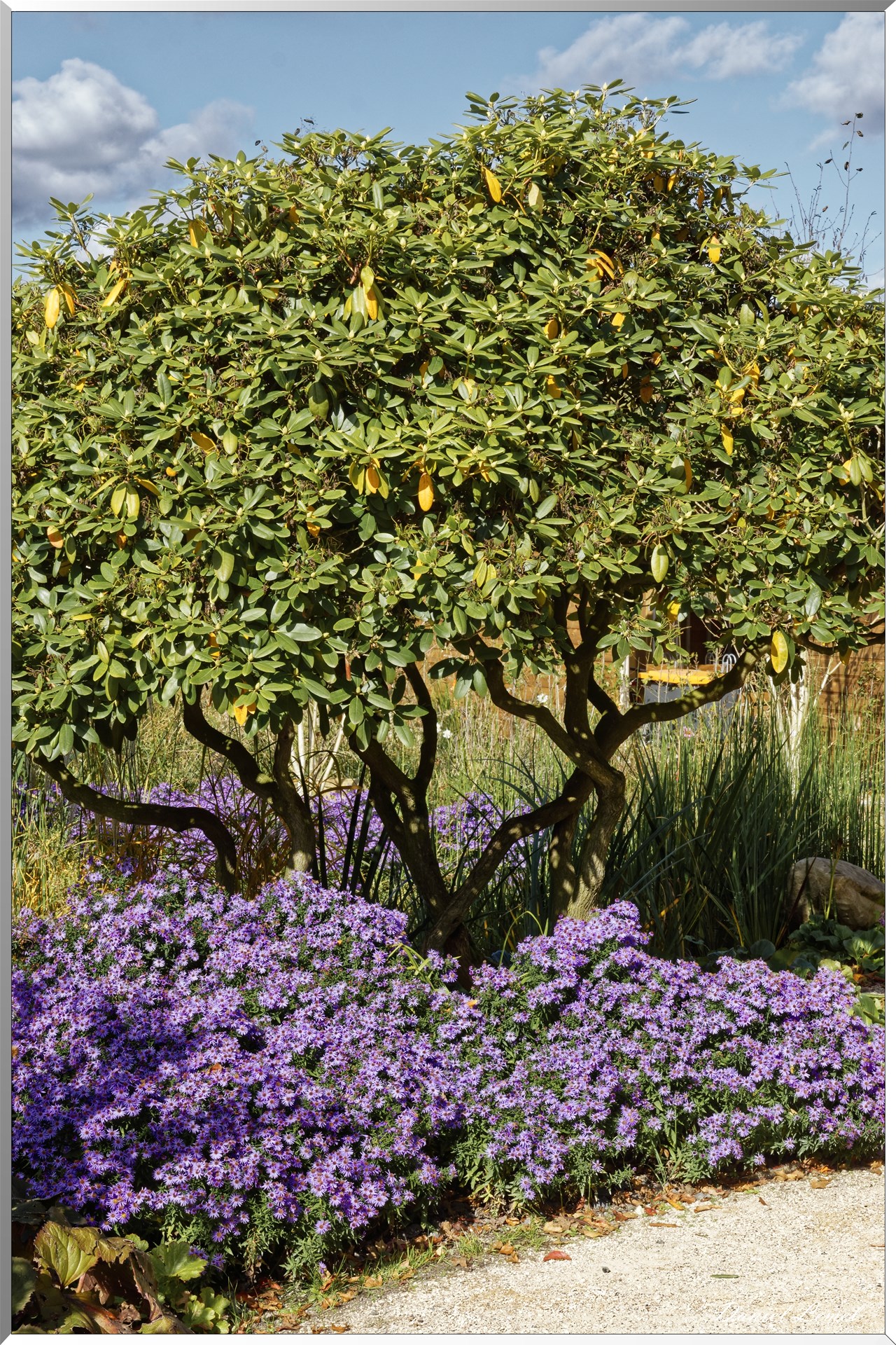 les jardins extraordinaires