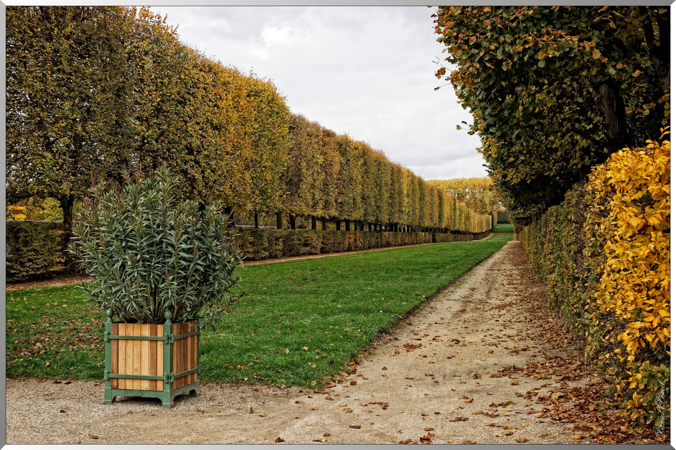 Les jardins du château de Versailles à l'automne