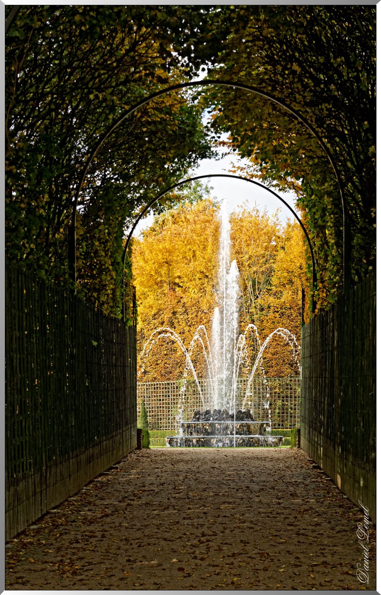 Bosquet des Trois Fontaines