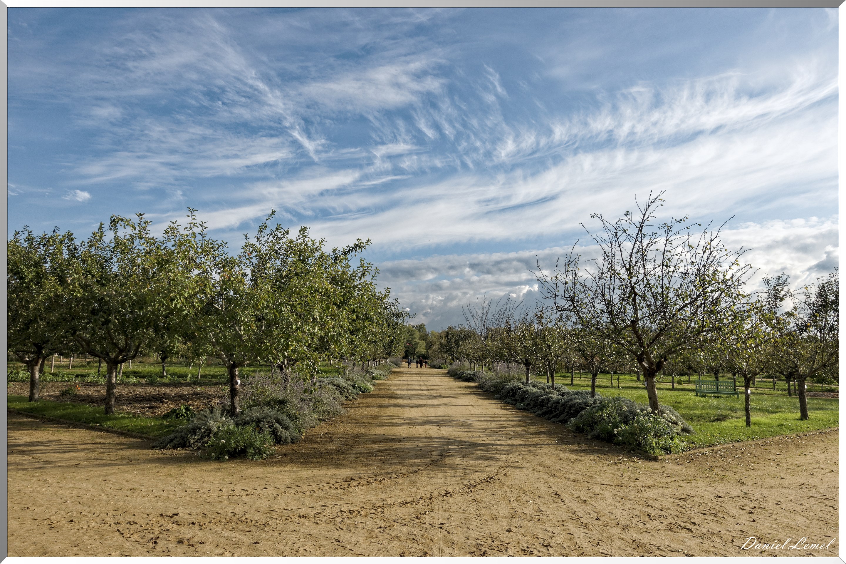 Potager-Fruitier du Château de La Roche-Guyon