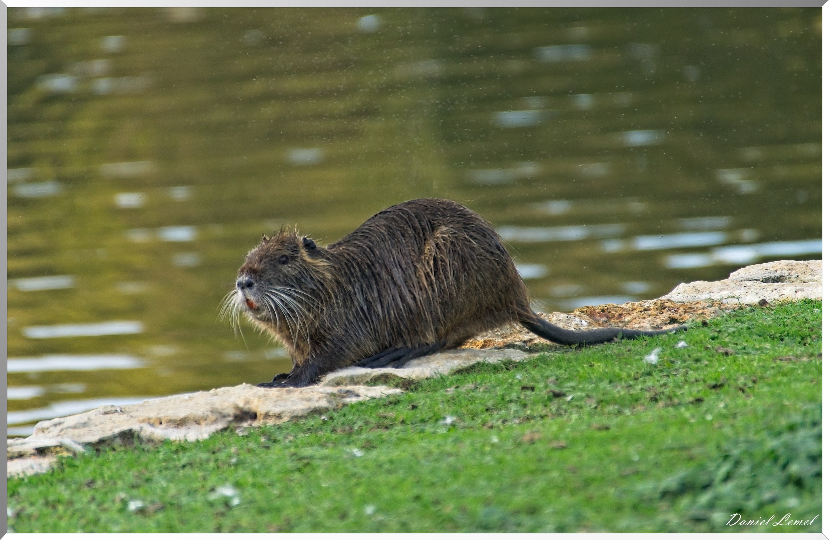 Soirée Club photo au domaine de Villarceaux