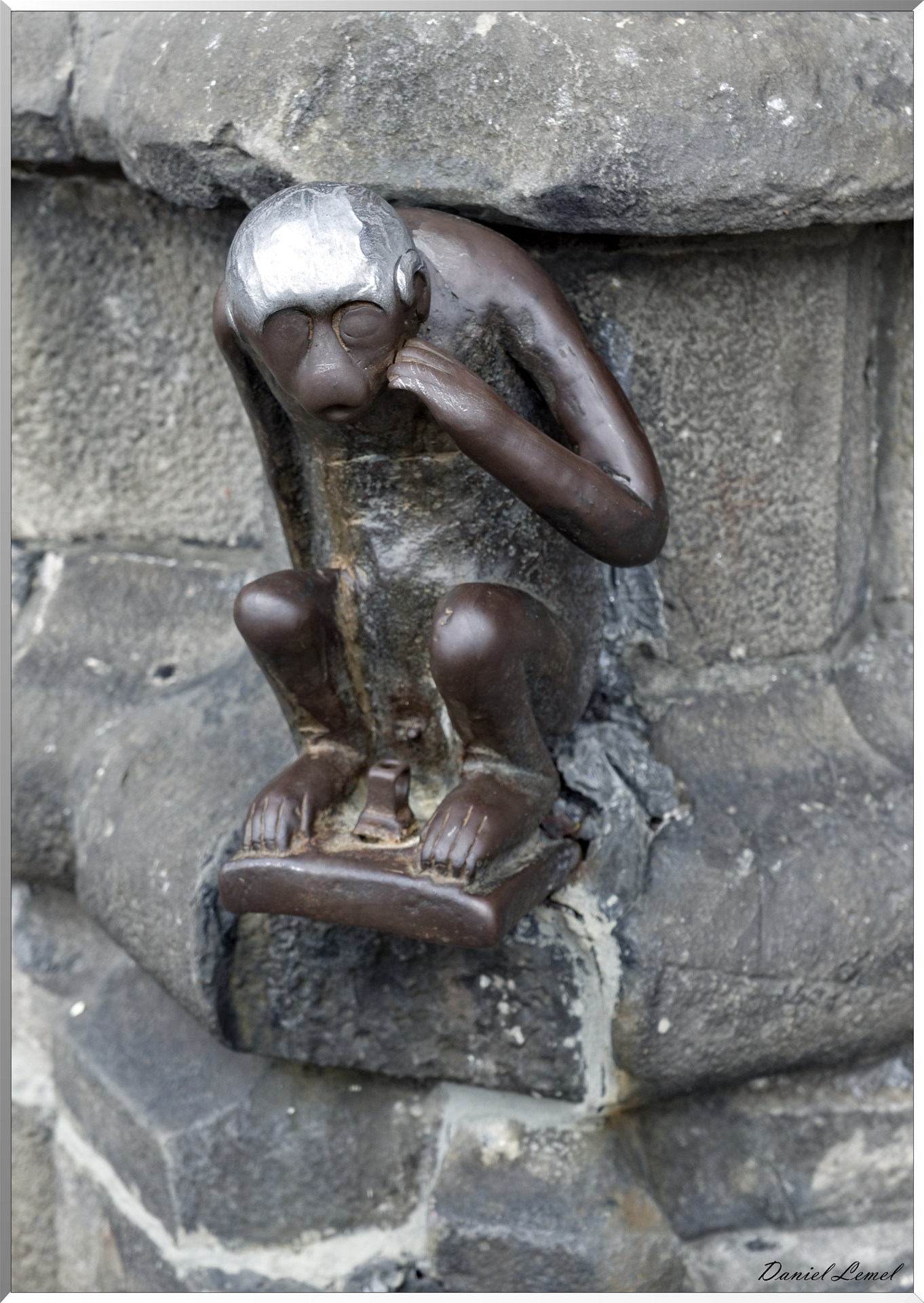 Le Singe du Grand Garde