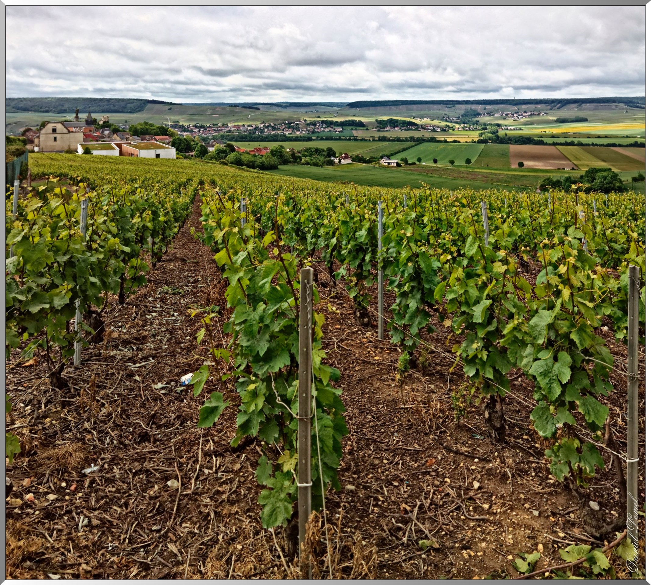 Verzenay et environs