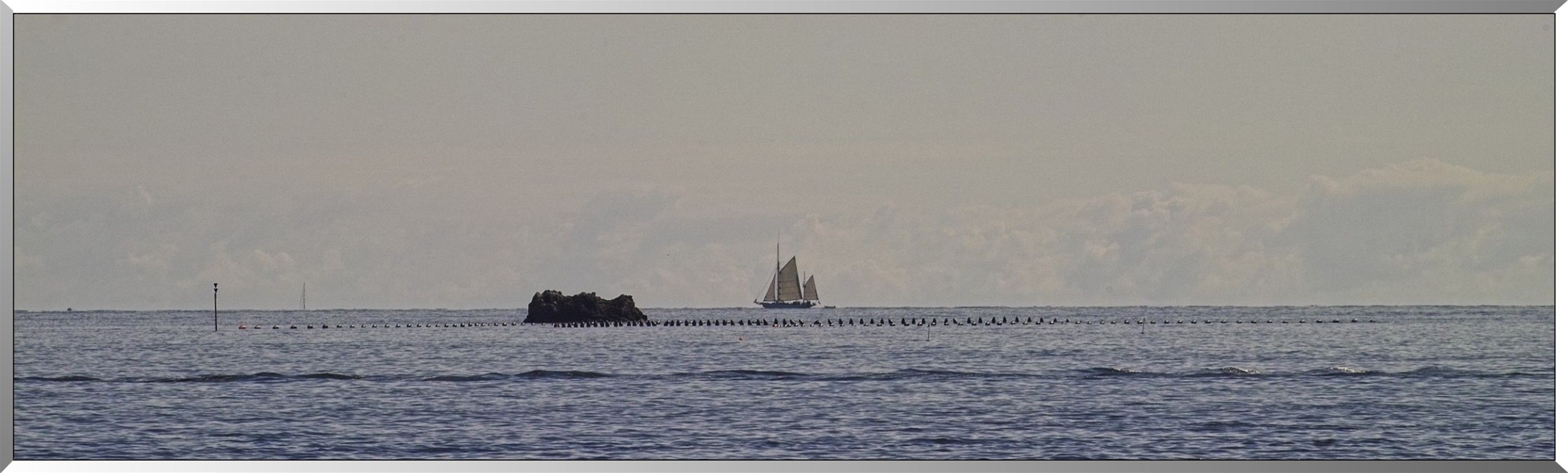 Voilier - Parc à huitres - Côte est - En vedette