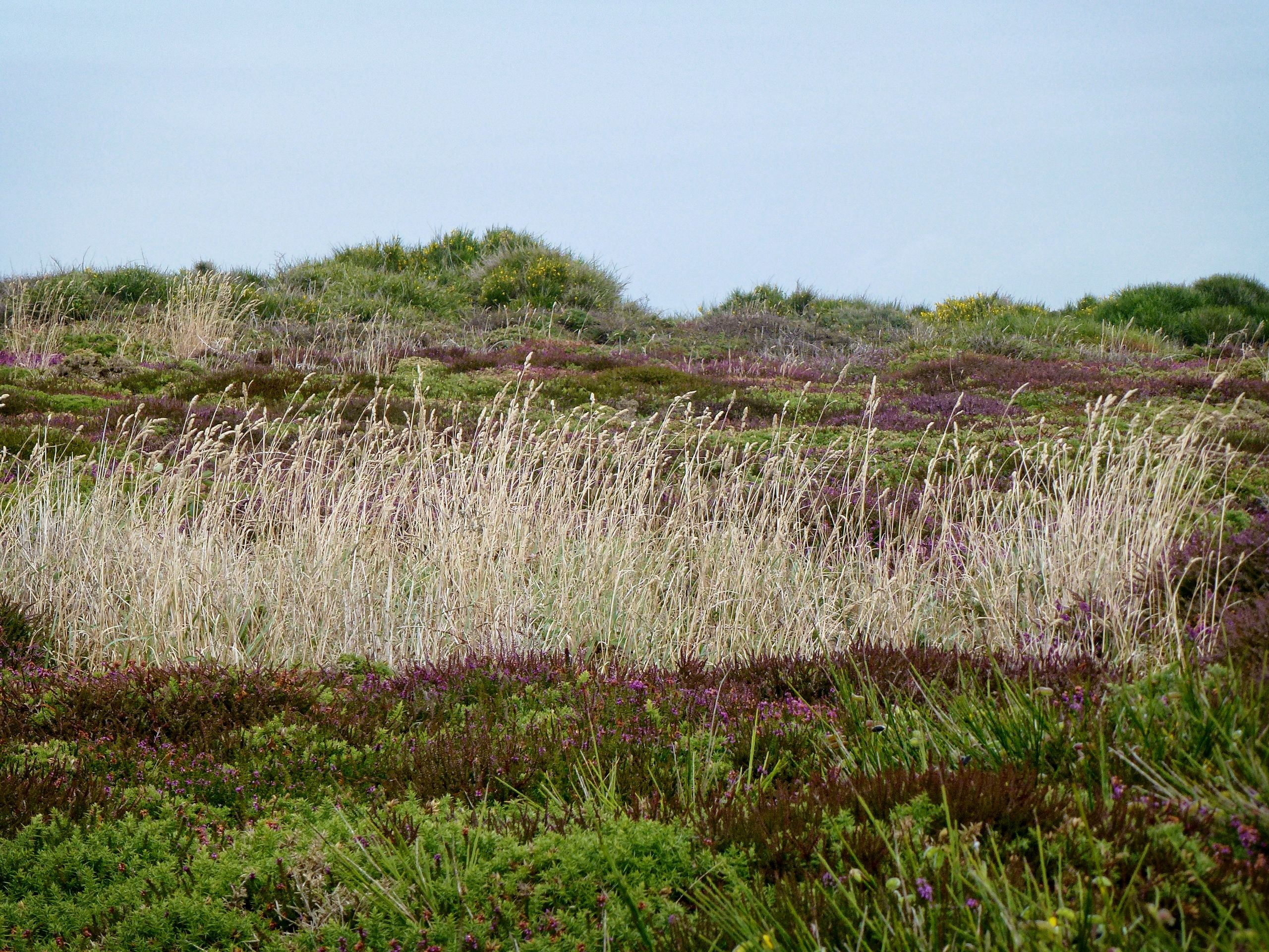 Pointe du Raz