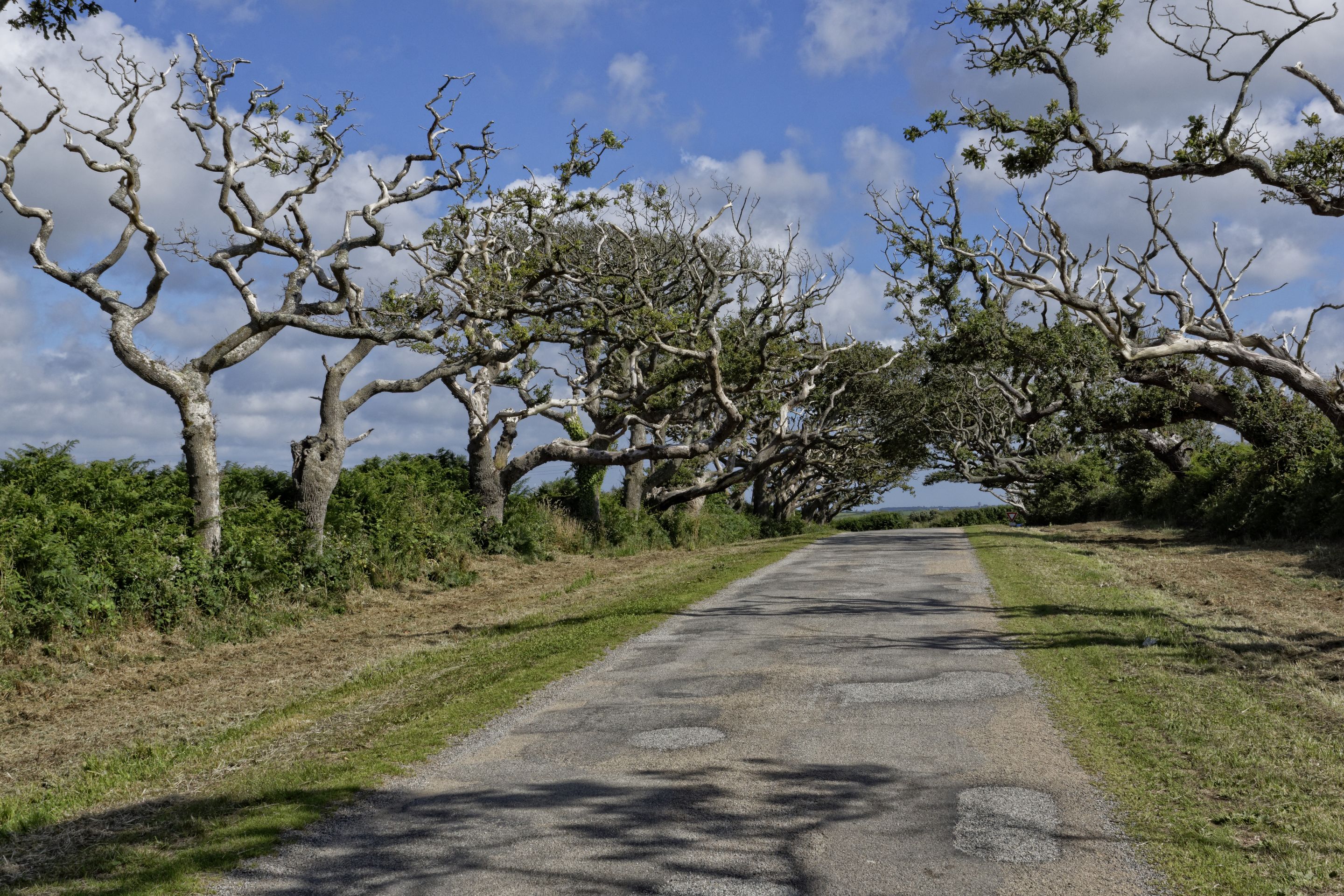 Château de Kergroadez