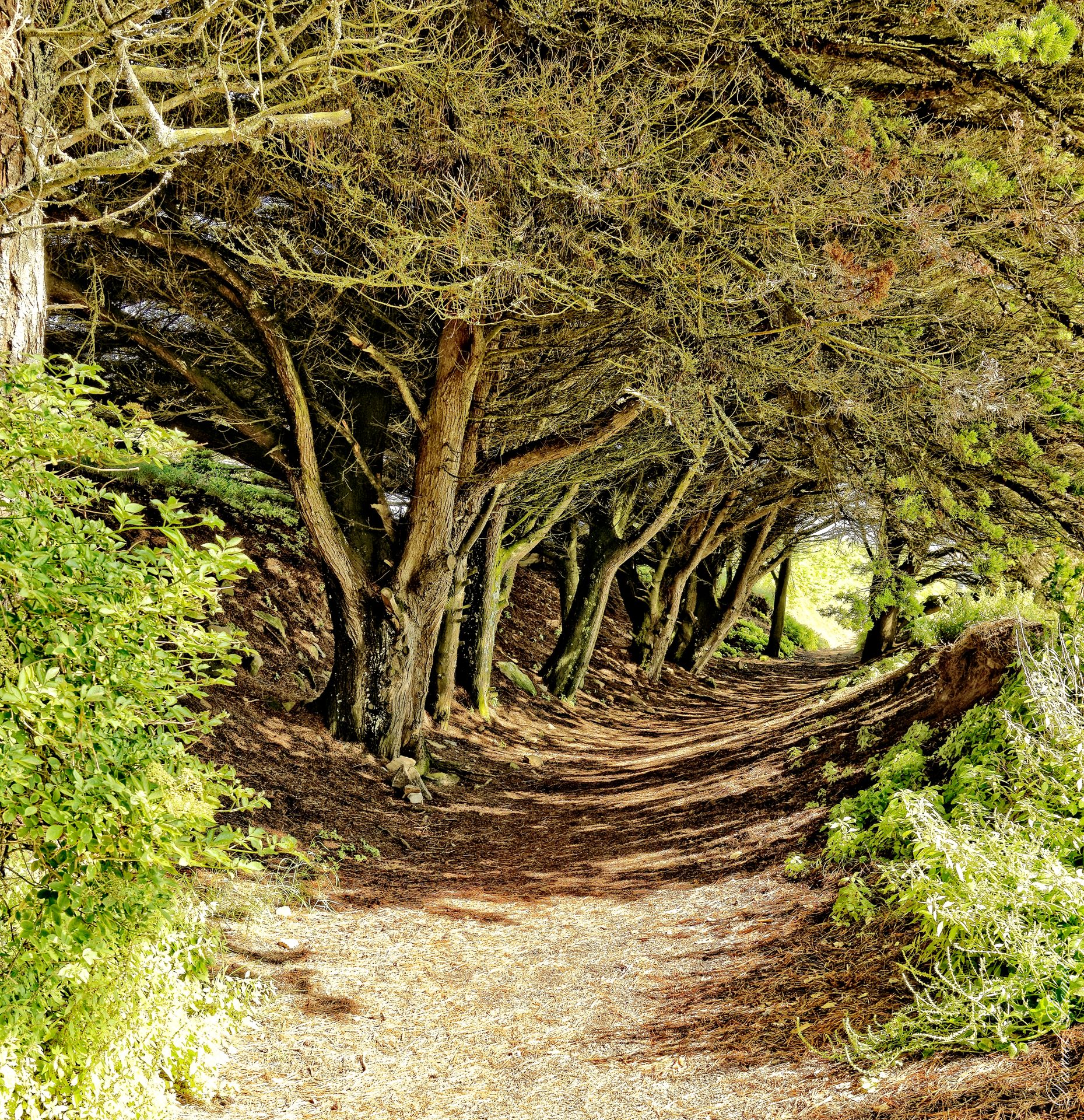 Presqu ile de saint marguerite Pen Enez 2