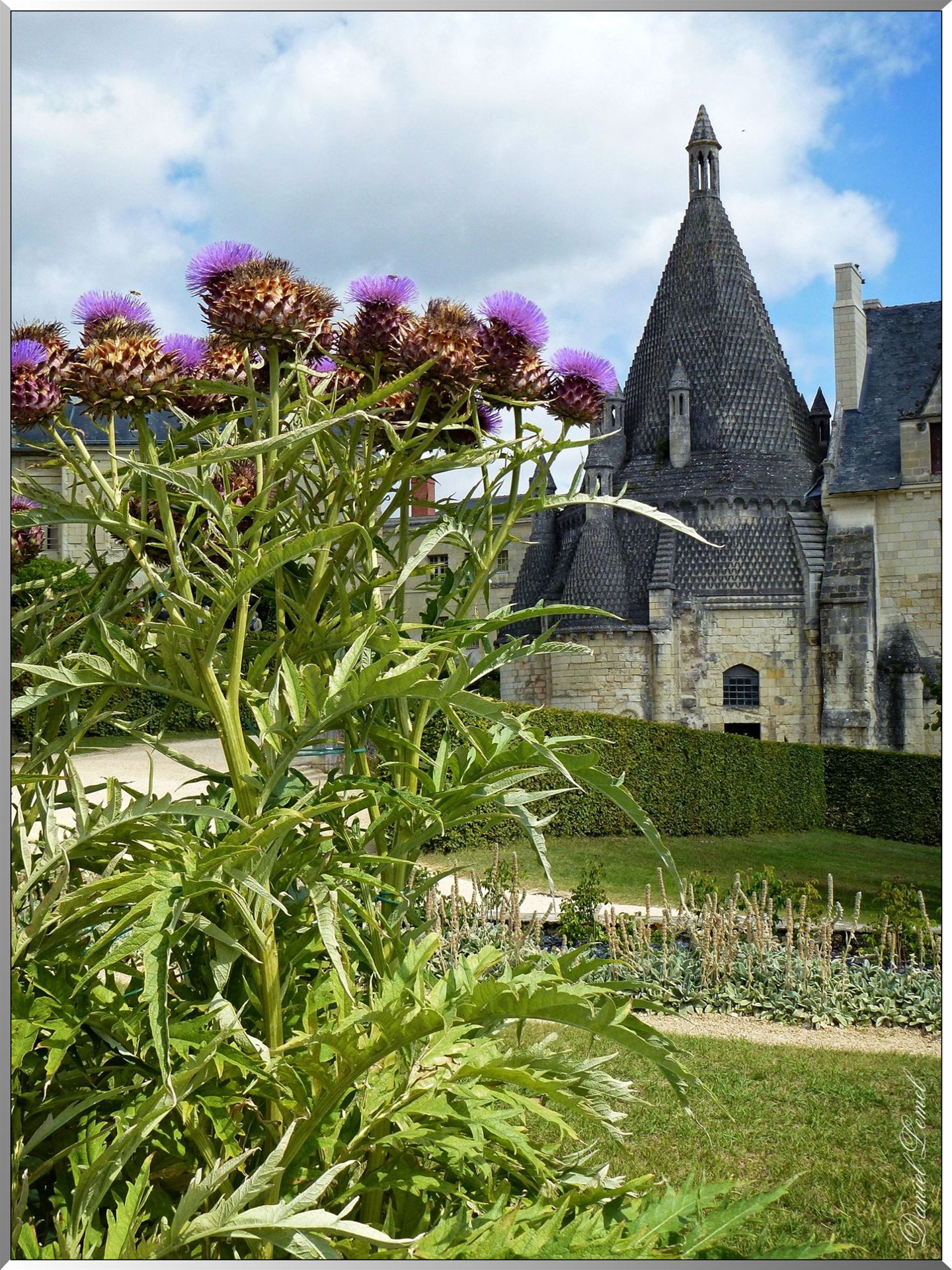 Chardons Cuisine Abbaye de Fontevraud