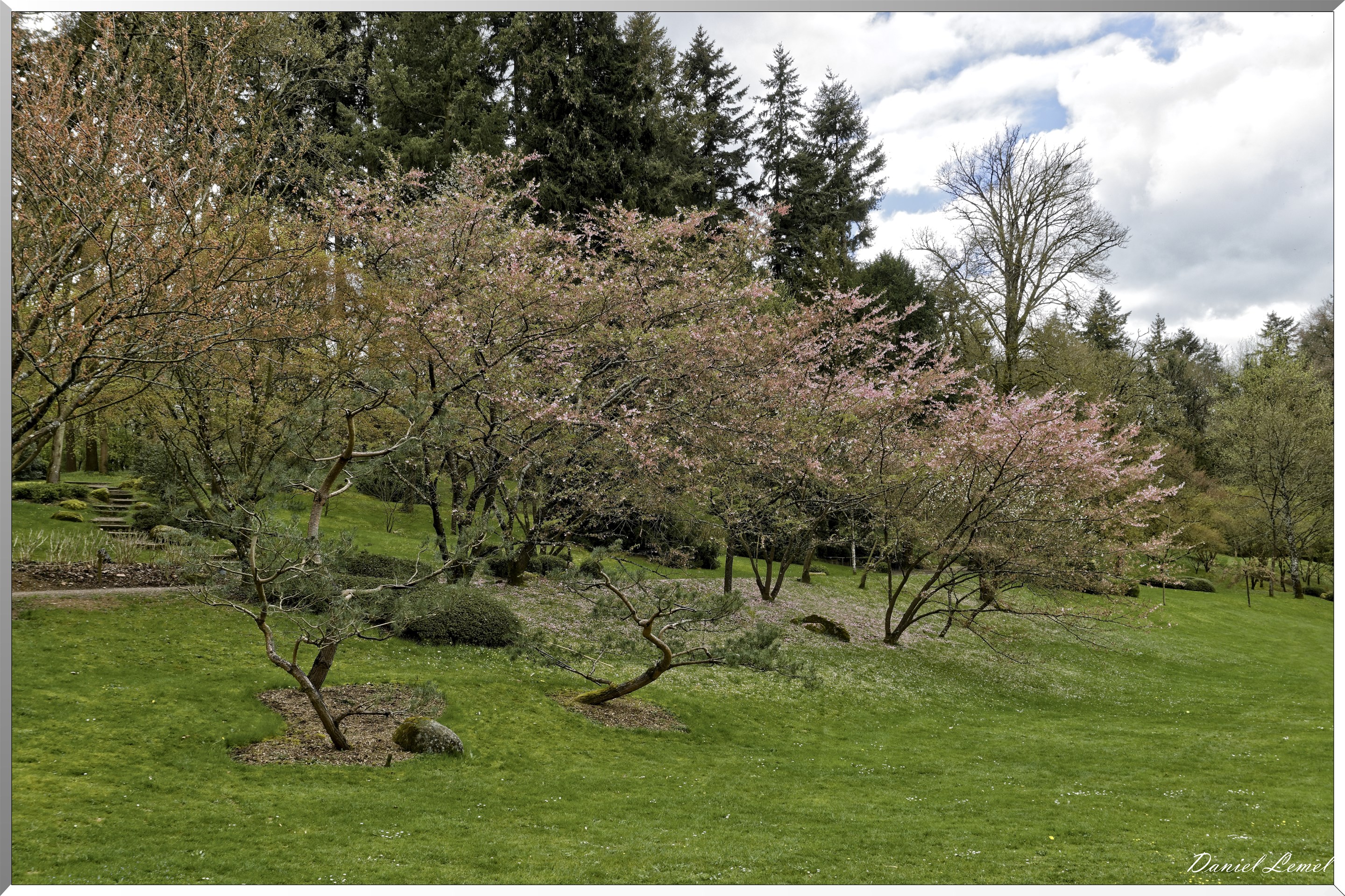 Parc Oriental de Maulévrier au printemps