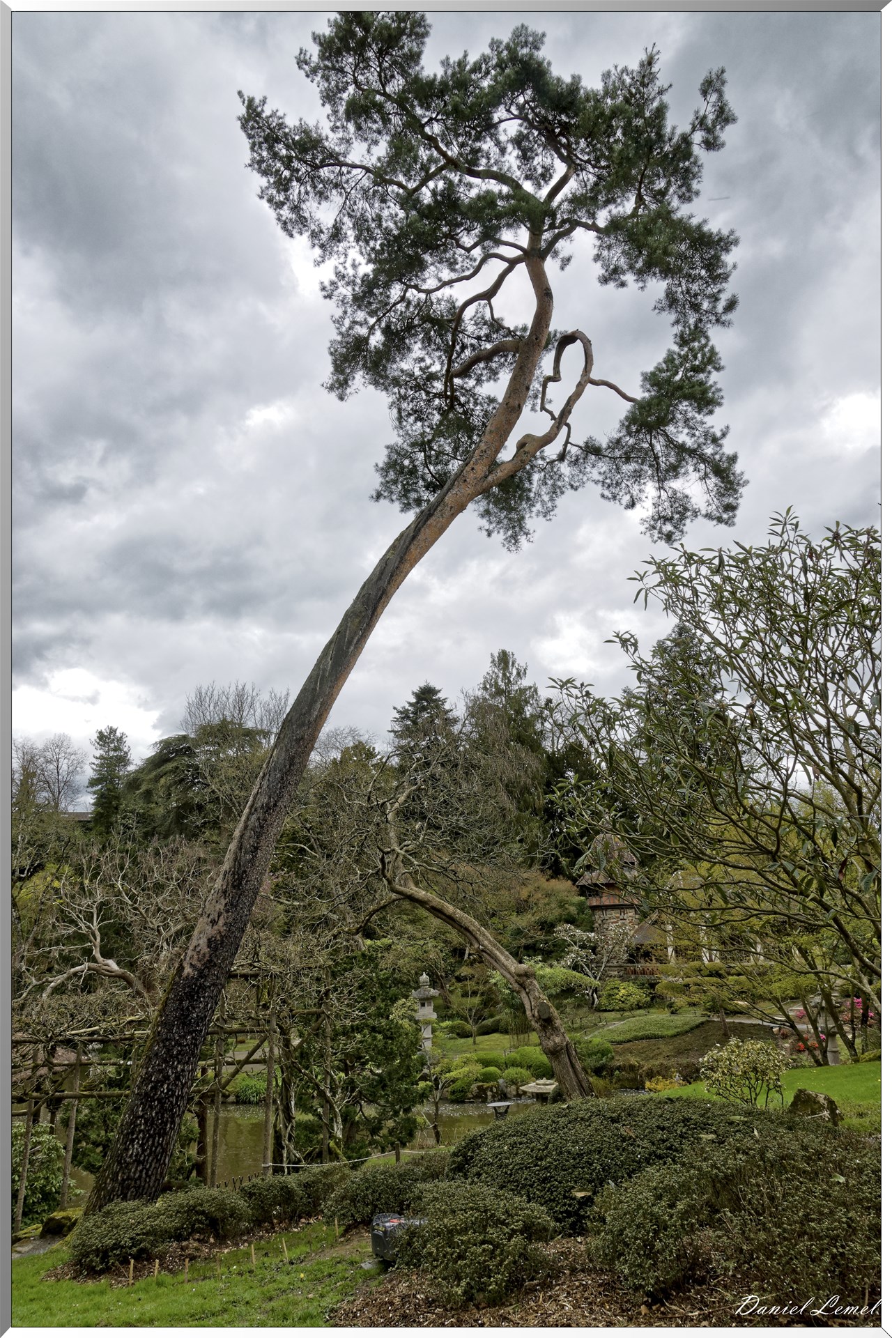 Parc Oriental de Maulévrier au printemps