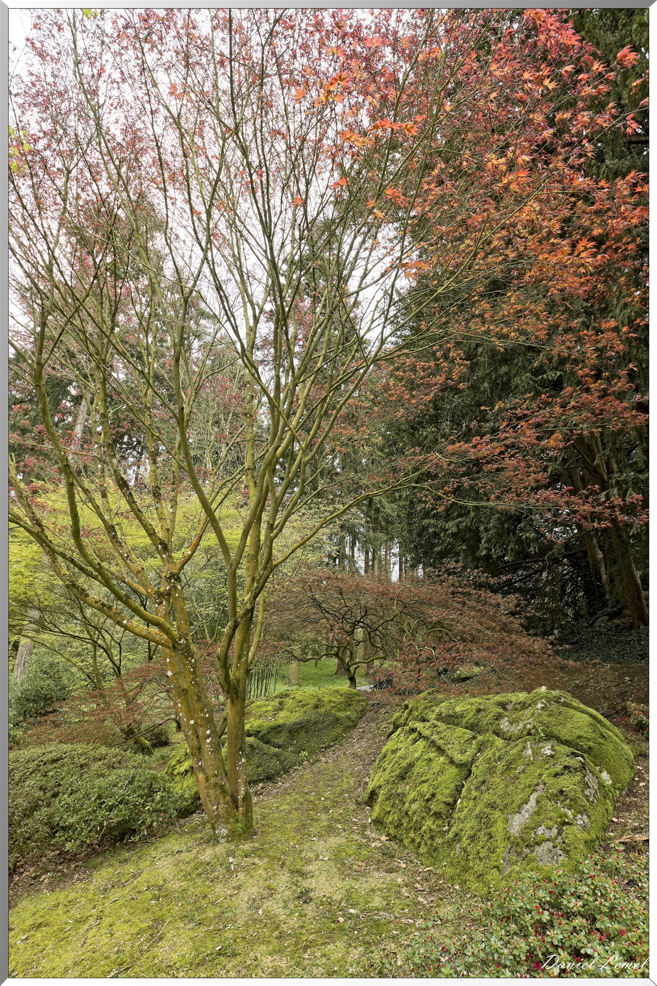 Parc Oriental de Maulévrier au printemps
