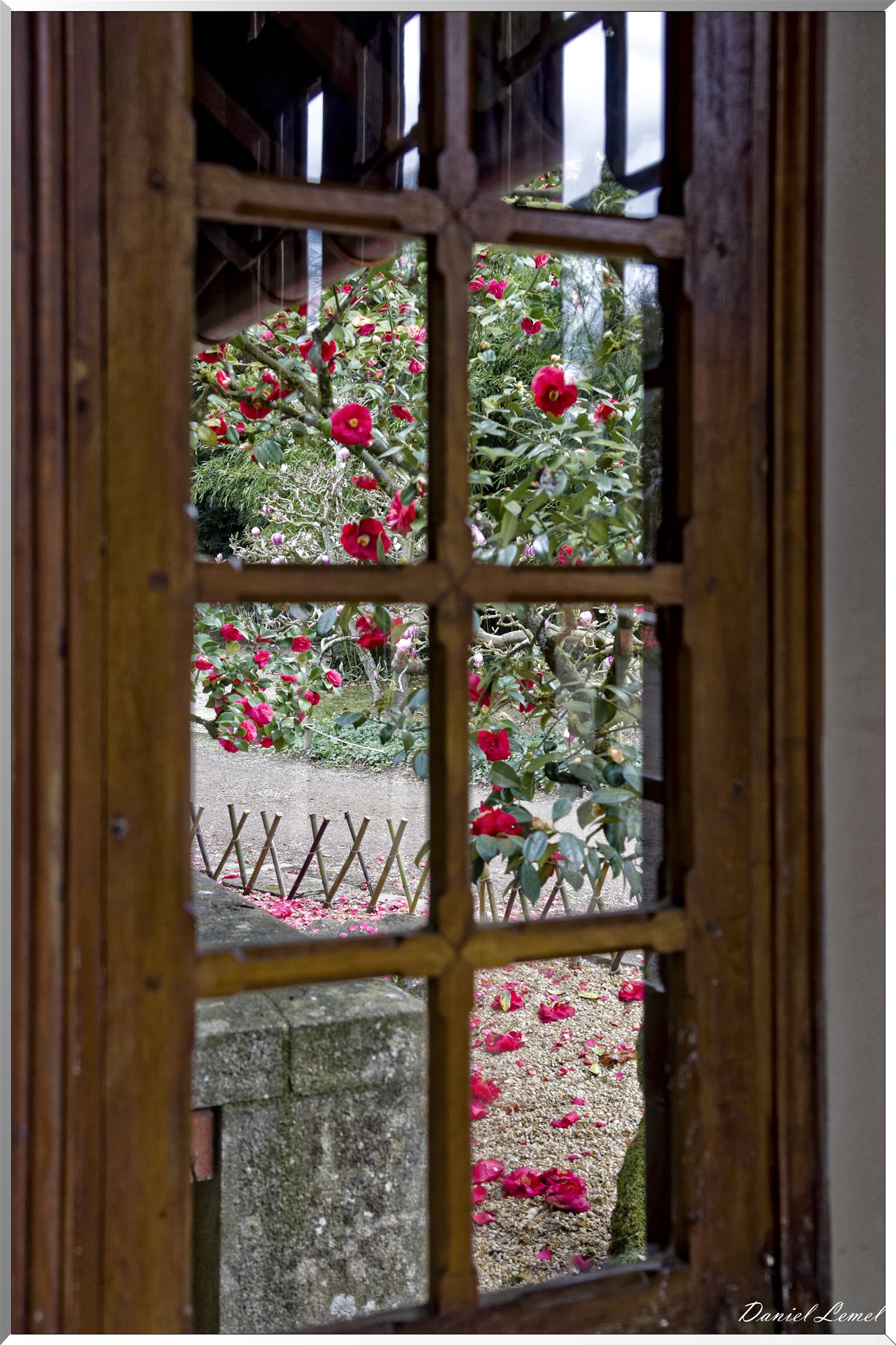 Parc Oriental de Maulévrier au printemps