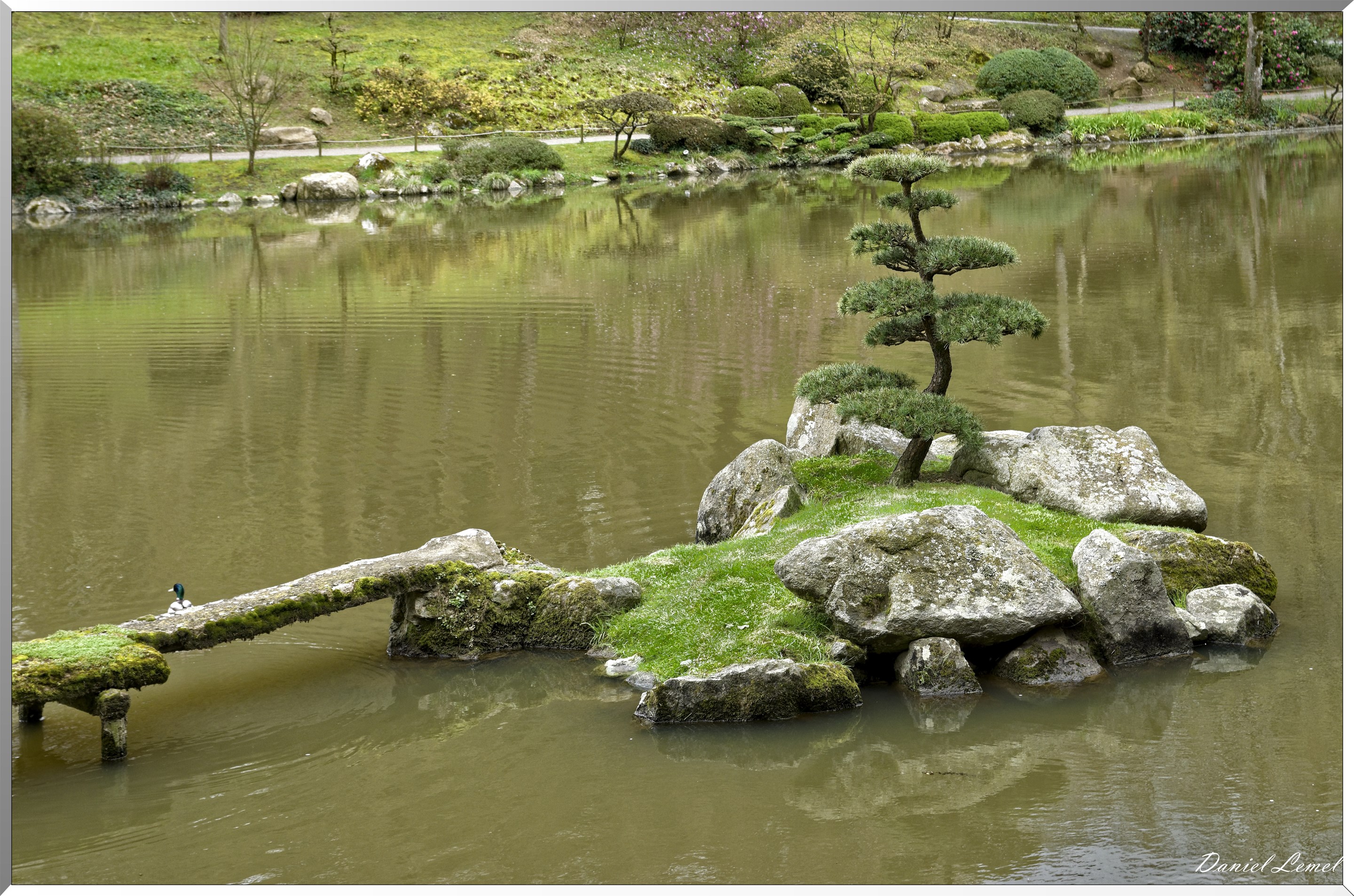Parc Oriental de Maulévrier au printemps
