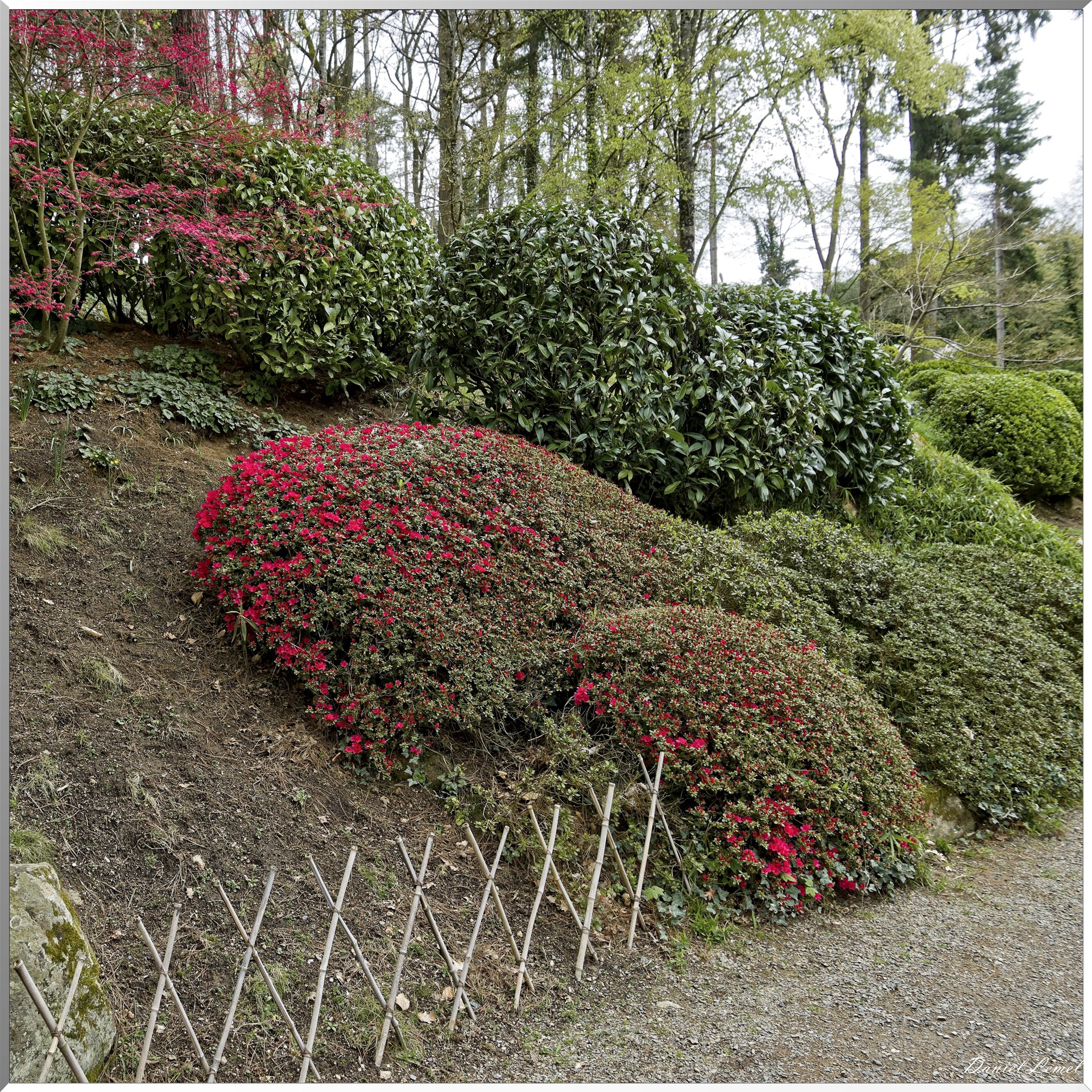 Parc Oriental de Maulévrier au printemps