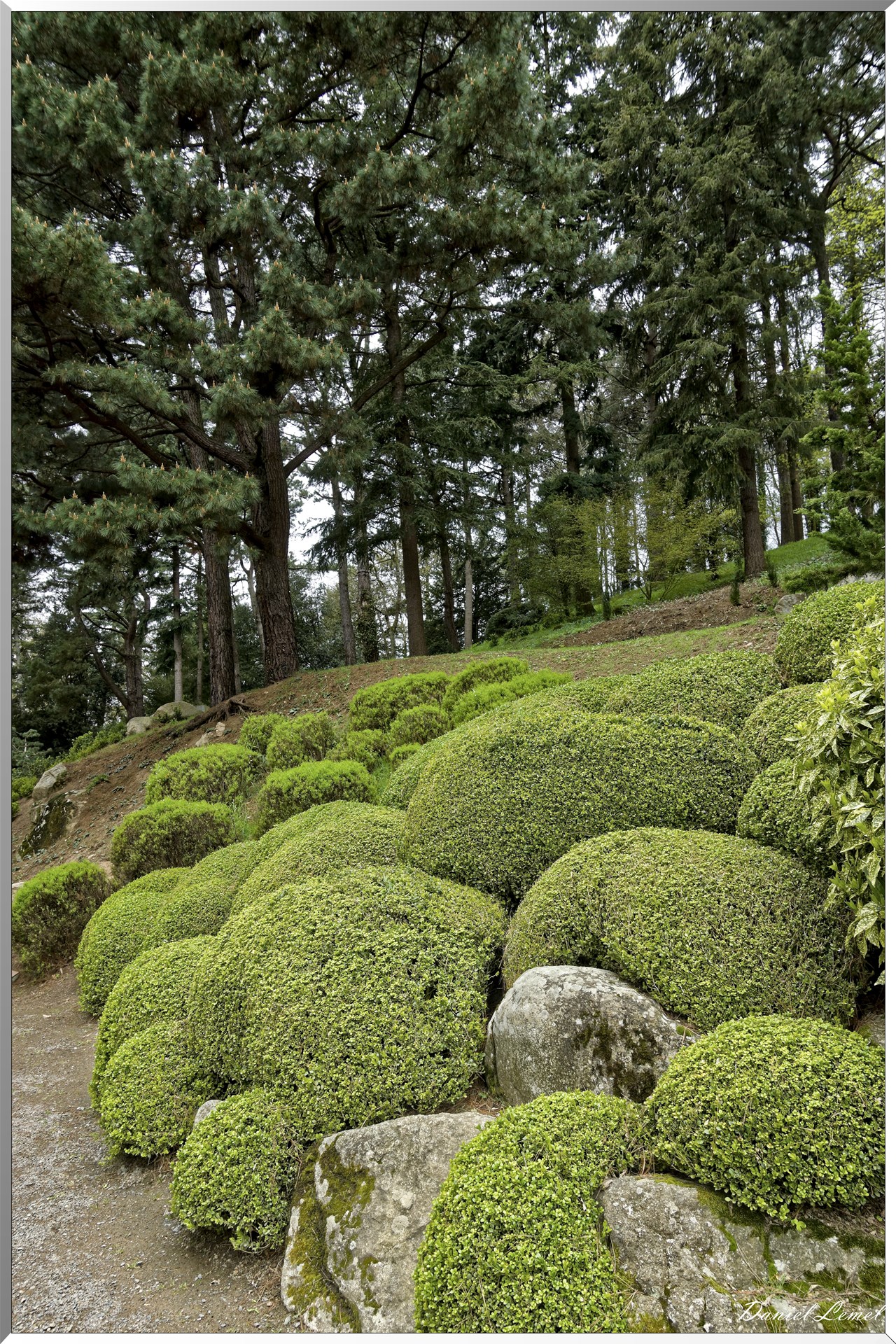 Parc Oriental de Maulévrier au printemps
