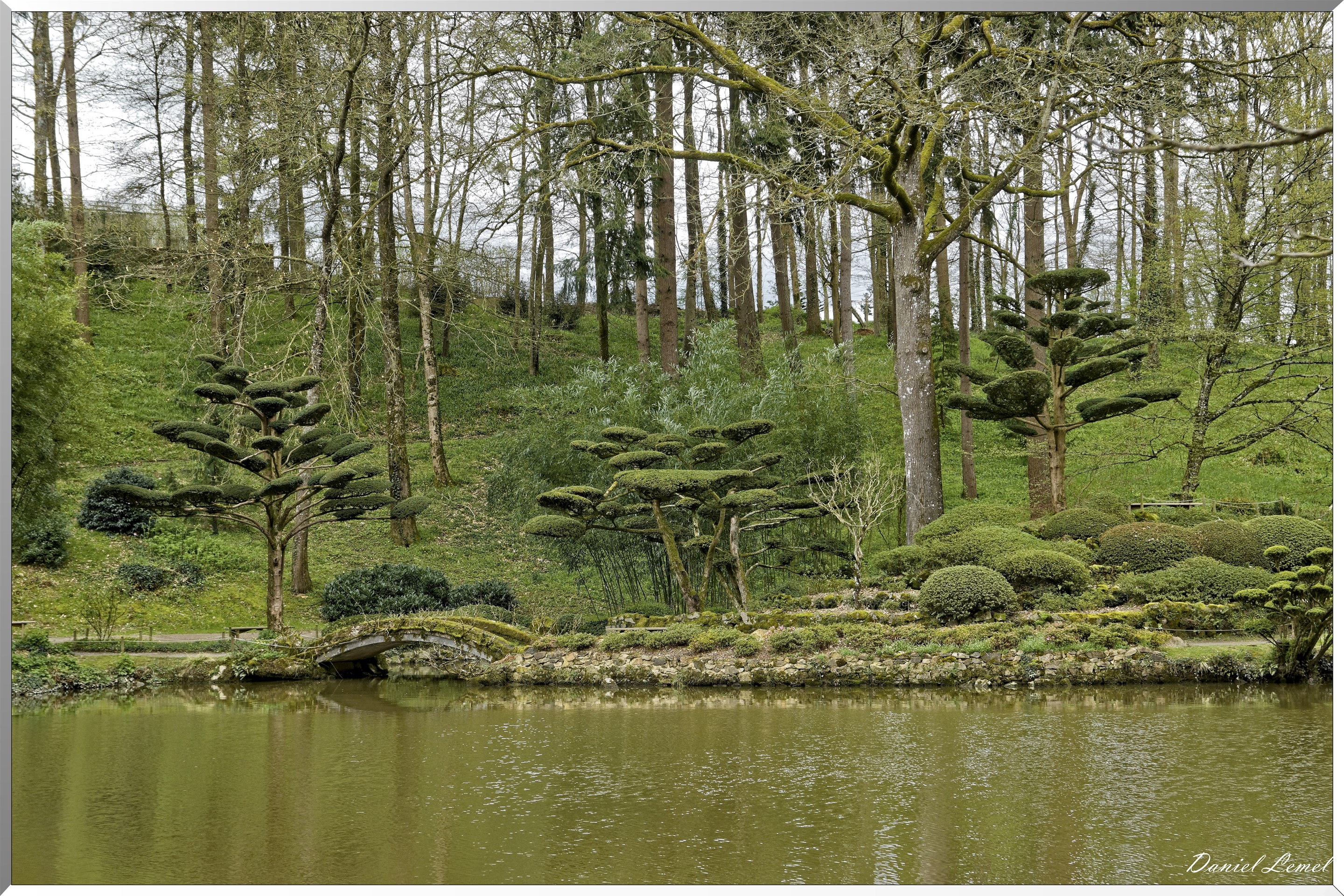 Parc Oriental de Maulévrier au printemps