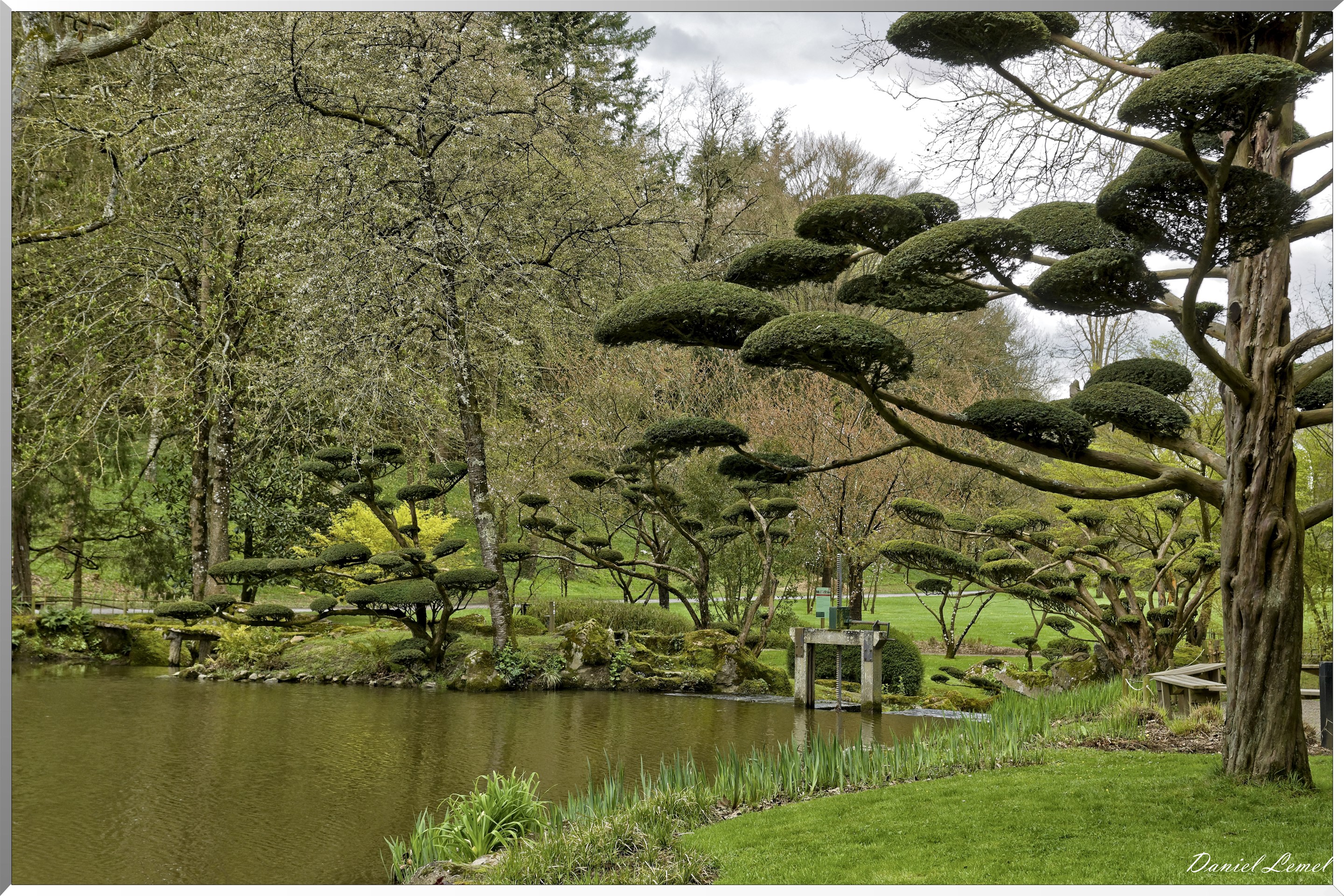 Parc Oriental de Maulévrier au printemps