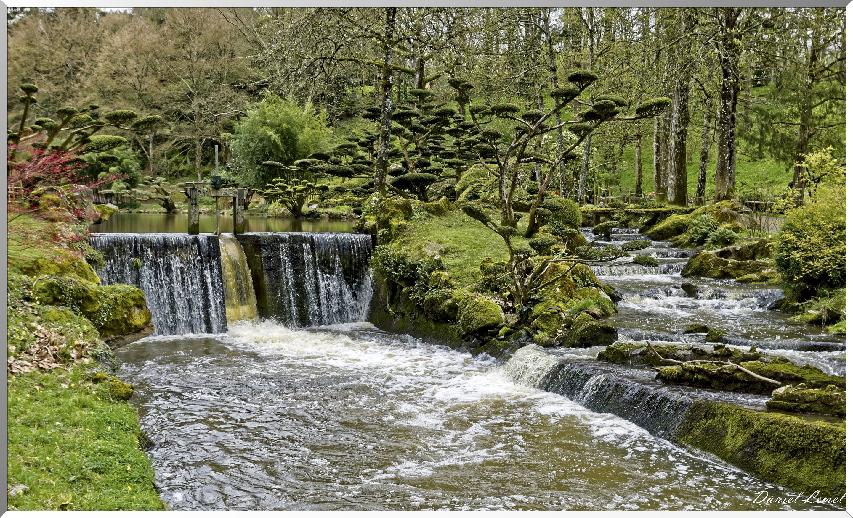 Parc Oriental de Maulévrier au printemps